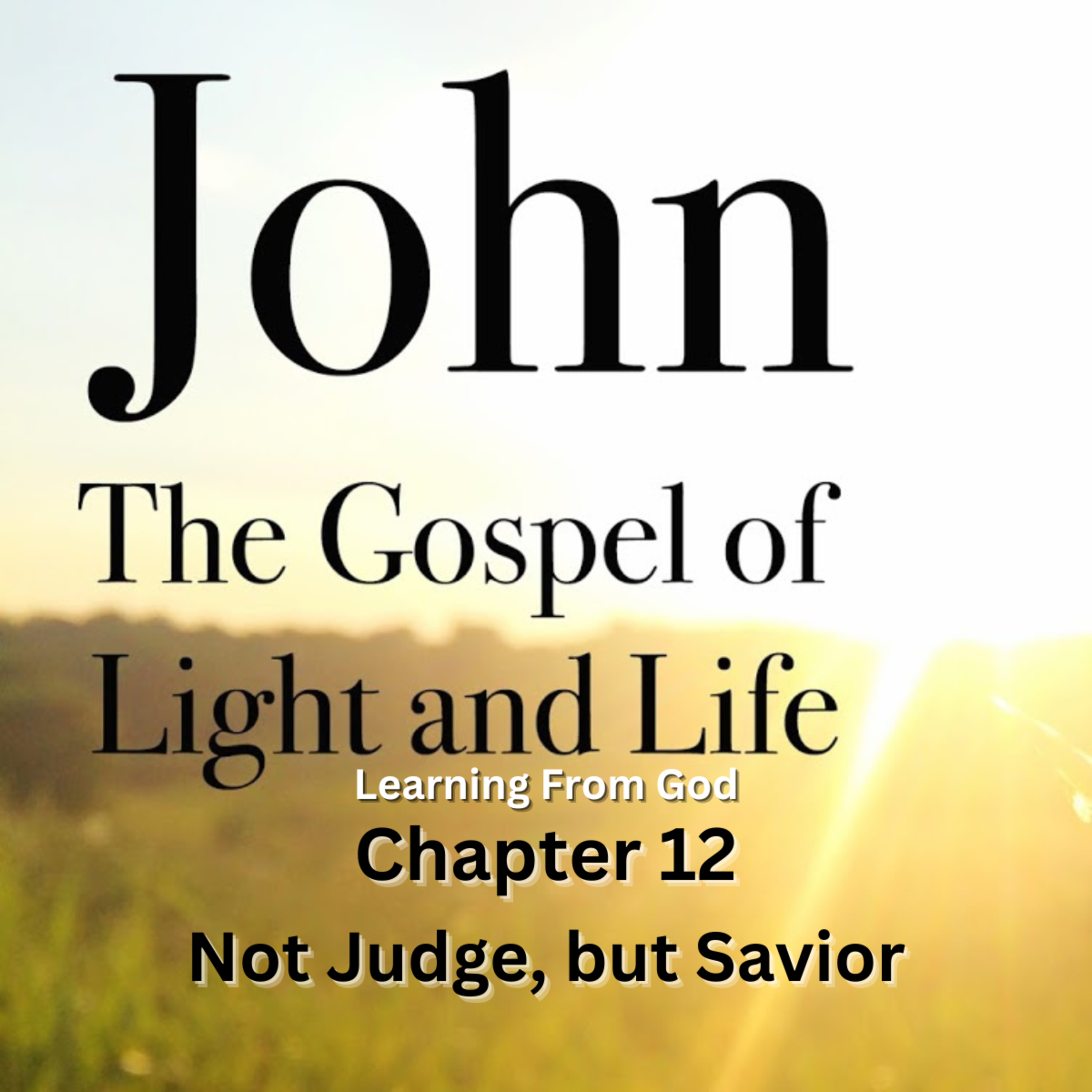 Expository Commentary on John, by H A Ironside, Address 41 Not Judge, but Savior episode artwork