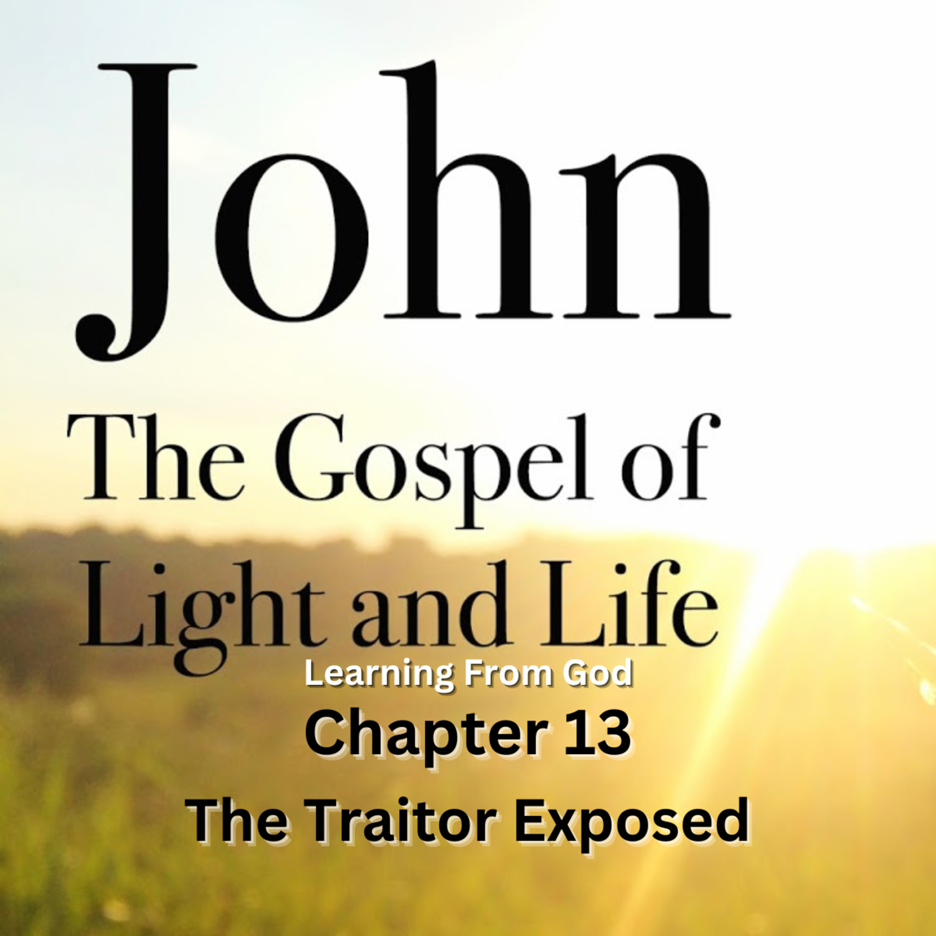 Expository Commentary on John, by H A Ironside, The Traitor Exposed episode artwork