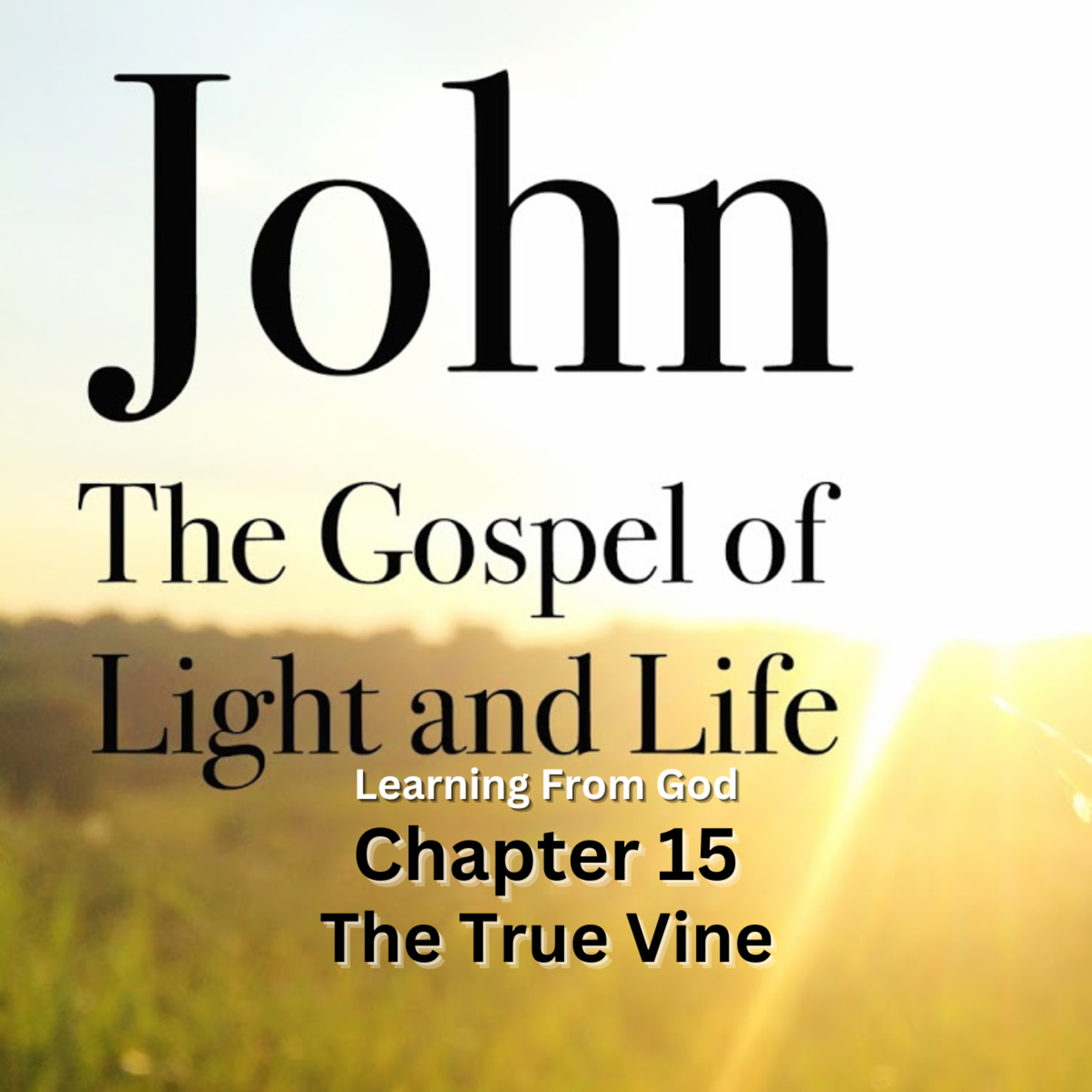 Expository Commentary on John, by H A Ironside, The True Vine episode artwork