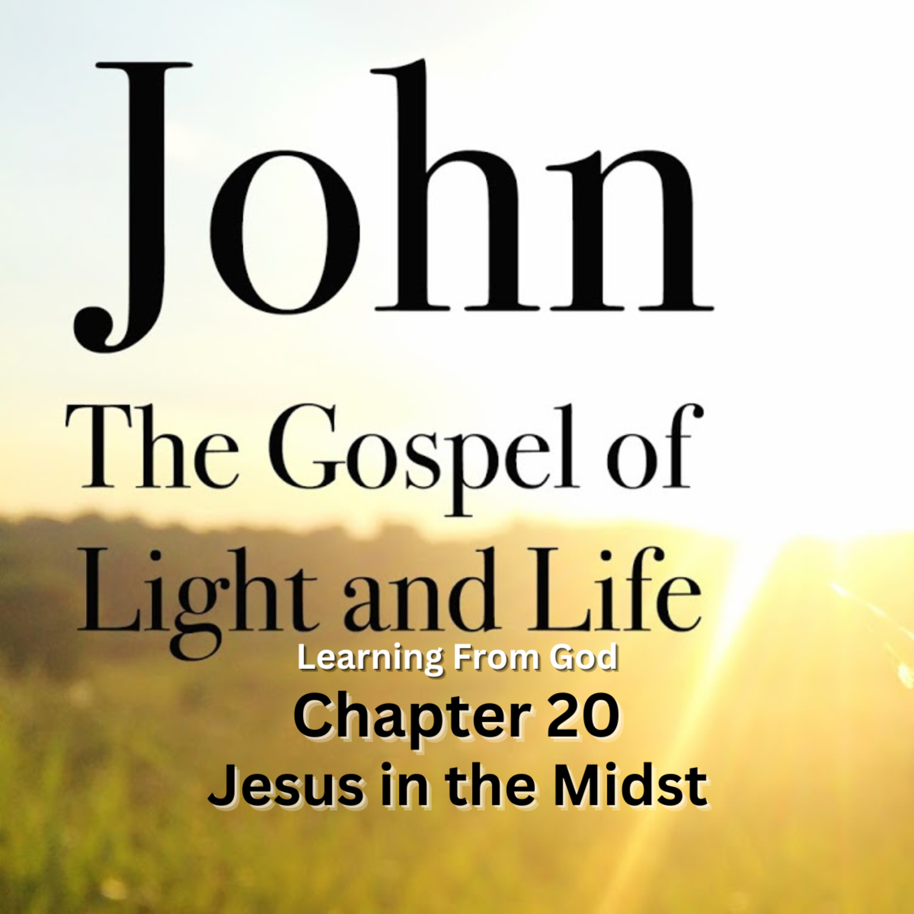 Expository Commentary on John, by H A Ironside, Jesus in the Midst episode artwork