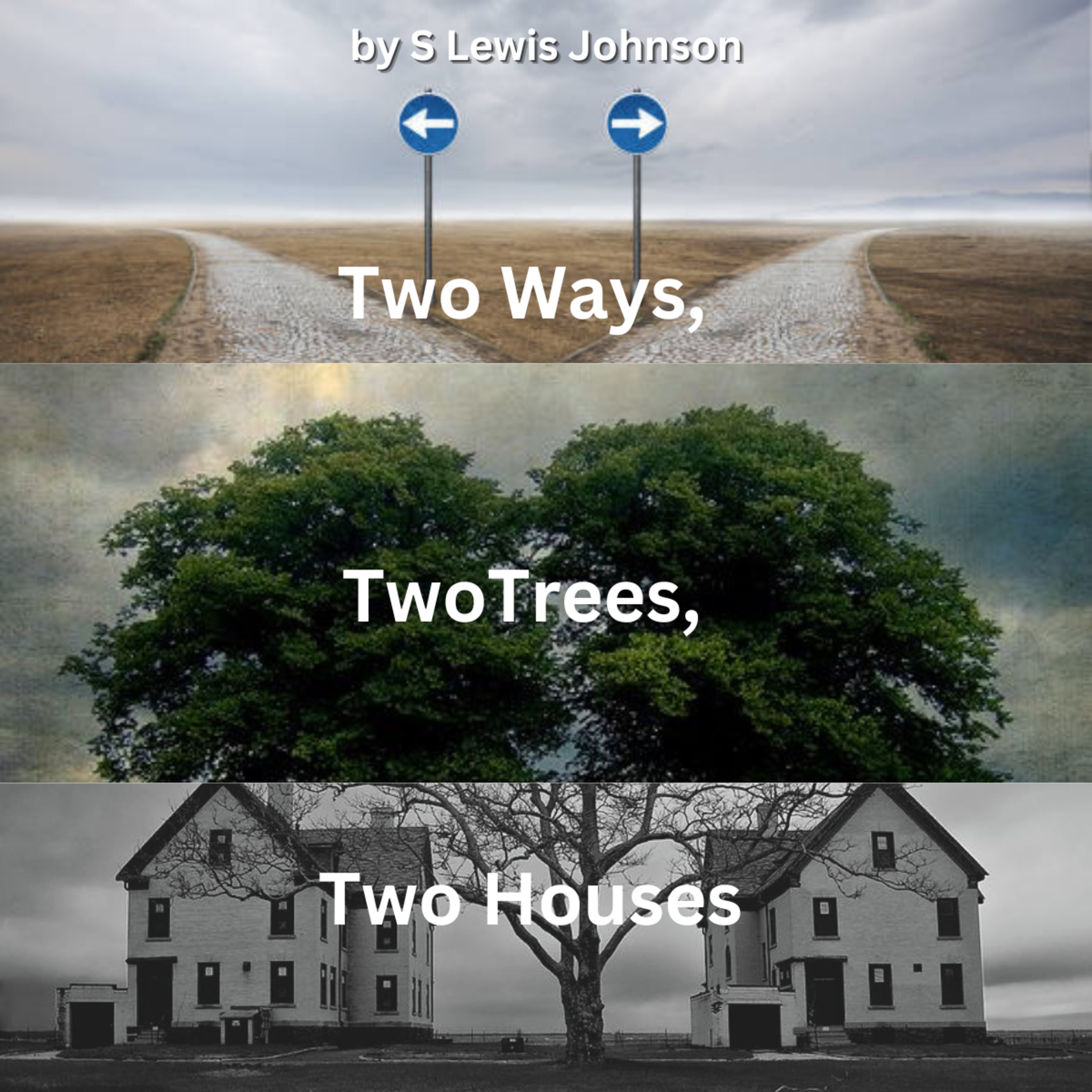 Two Ways, Two Trees, Two Houses, by S. Lewis Johnson episode artwork