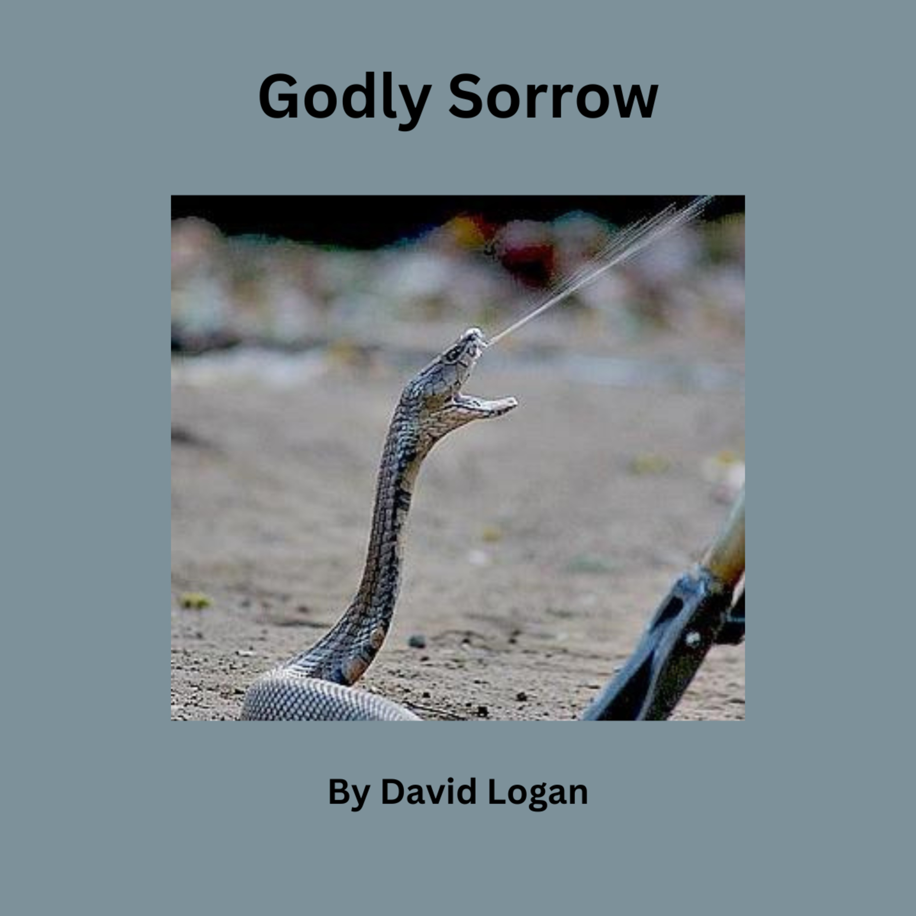 Down to Earth But Heavenly Minded