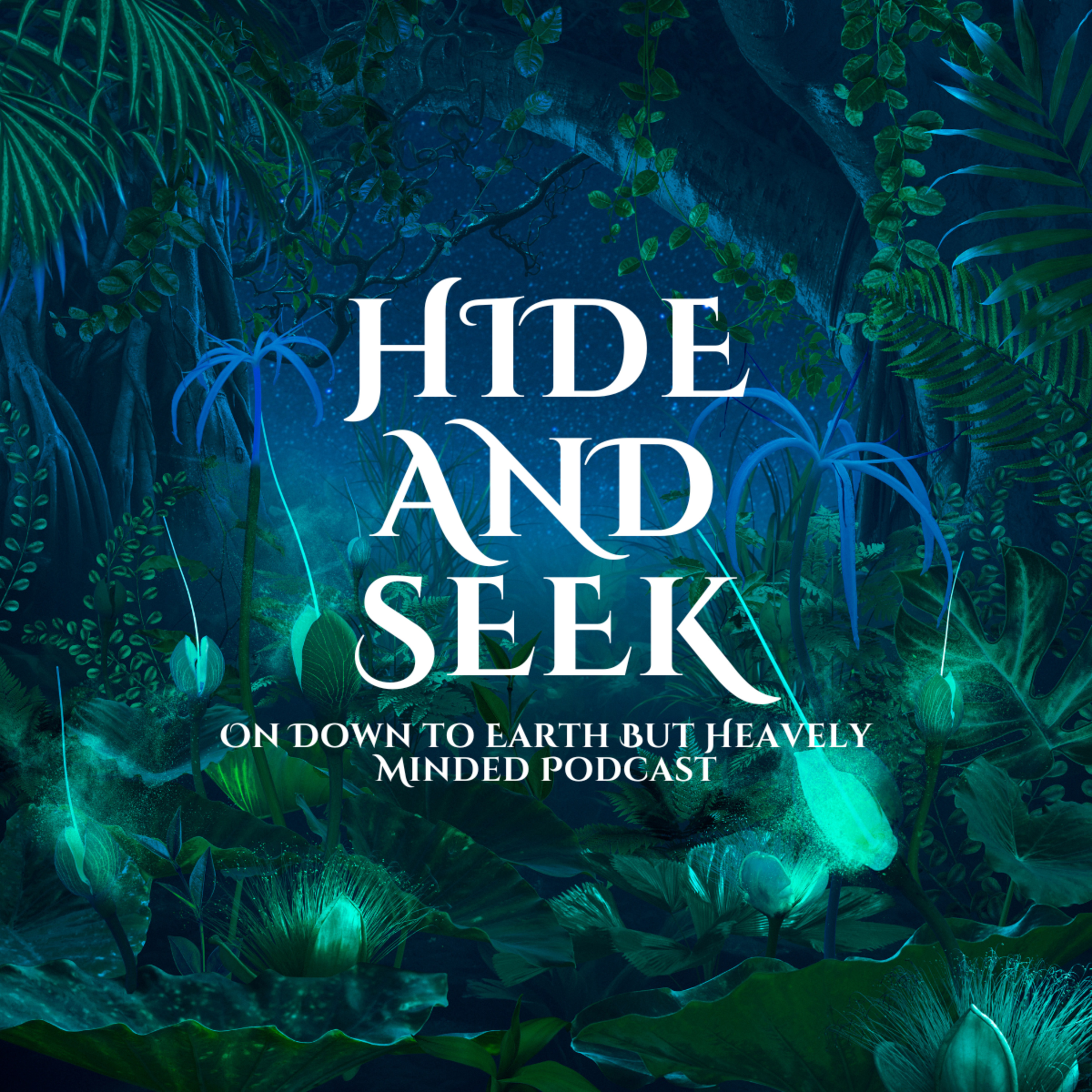 Hide and Seek On Down to Earth But Heavenly Minded Podcast episode artwork