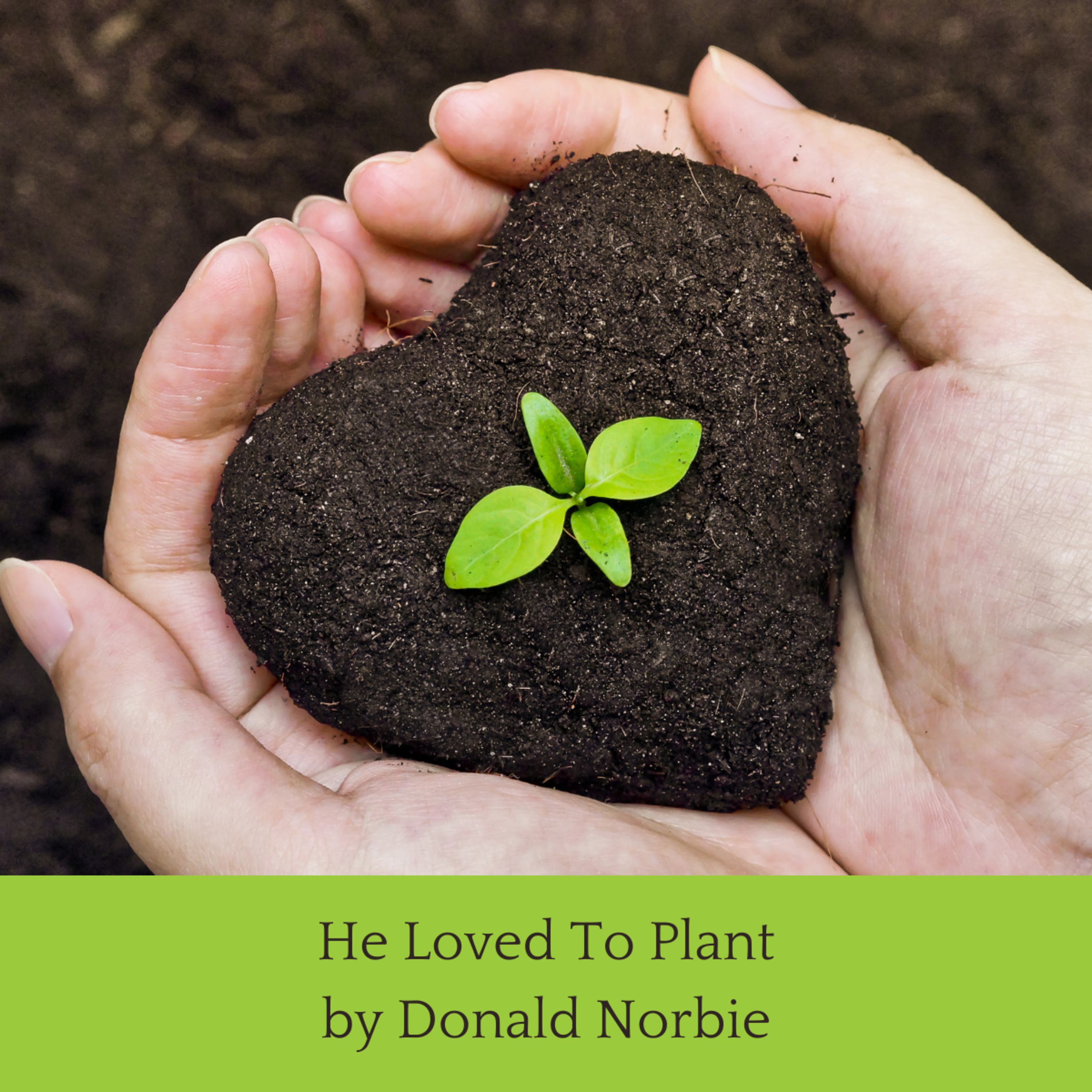 He Loved To Plant, A Godly Heritage, Chapter 2, by Donald Norbie episode artwork
