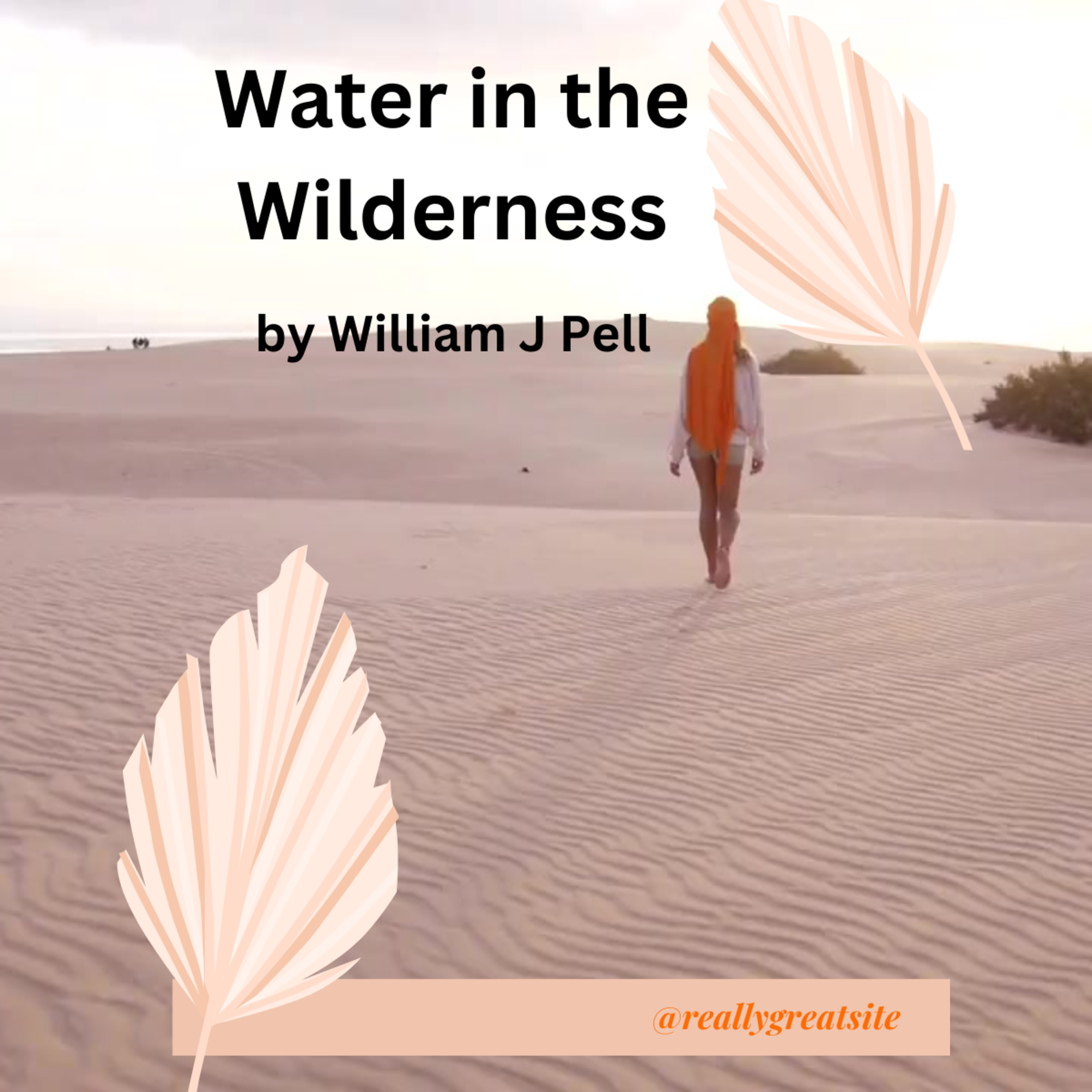 Water in the Wilderness, by William J Pell, Exodus 15:23 27