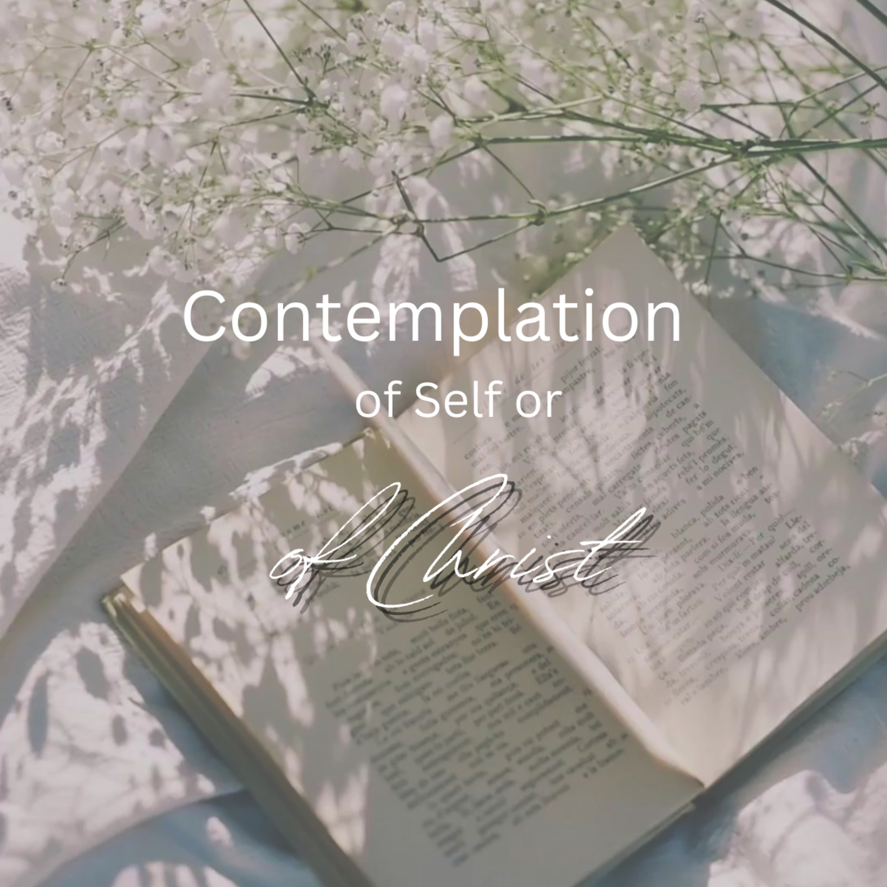 Contemplation of Self or of Christ, by George Pinches episode artwork