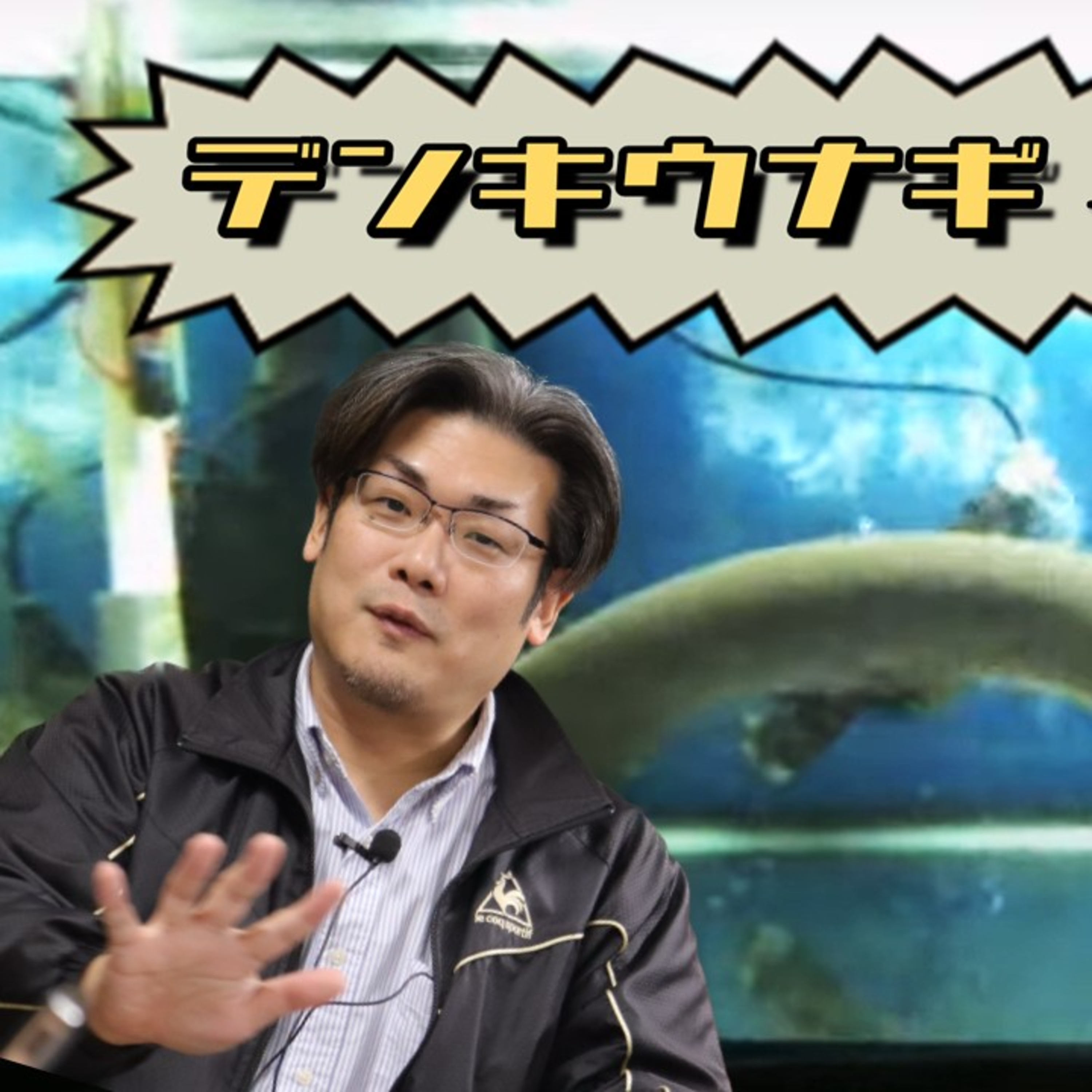 2023.12.14. デンキウナギで遺伝子実験！未知の生命現象を探せ episode artwork