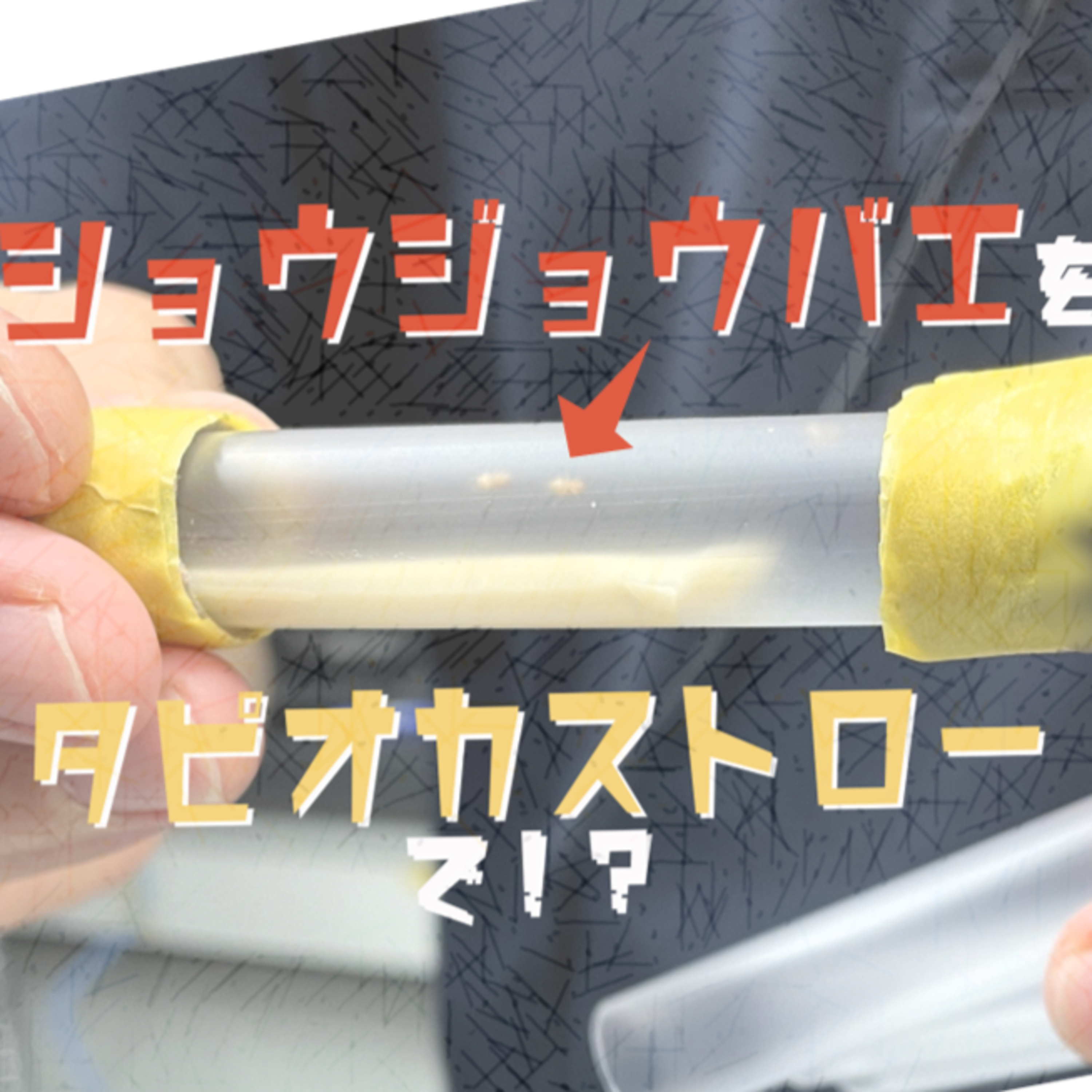 2024.09.30 抑制と興奮のバランスが重要です~音の識別能力のナゾ~