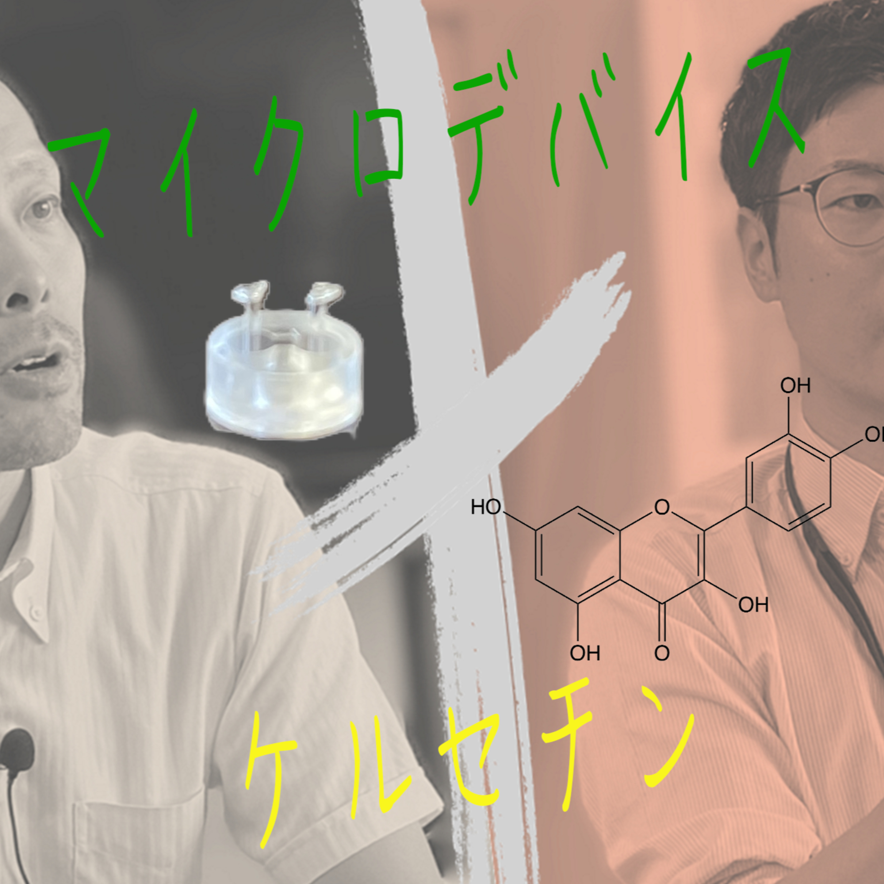 2024.10.9 筋肉の三次元培養に見惚れました~工学技術を用いた食品成分の機能評価~