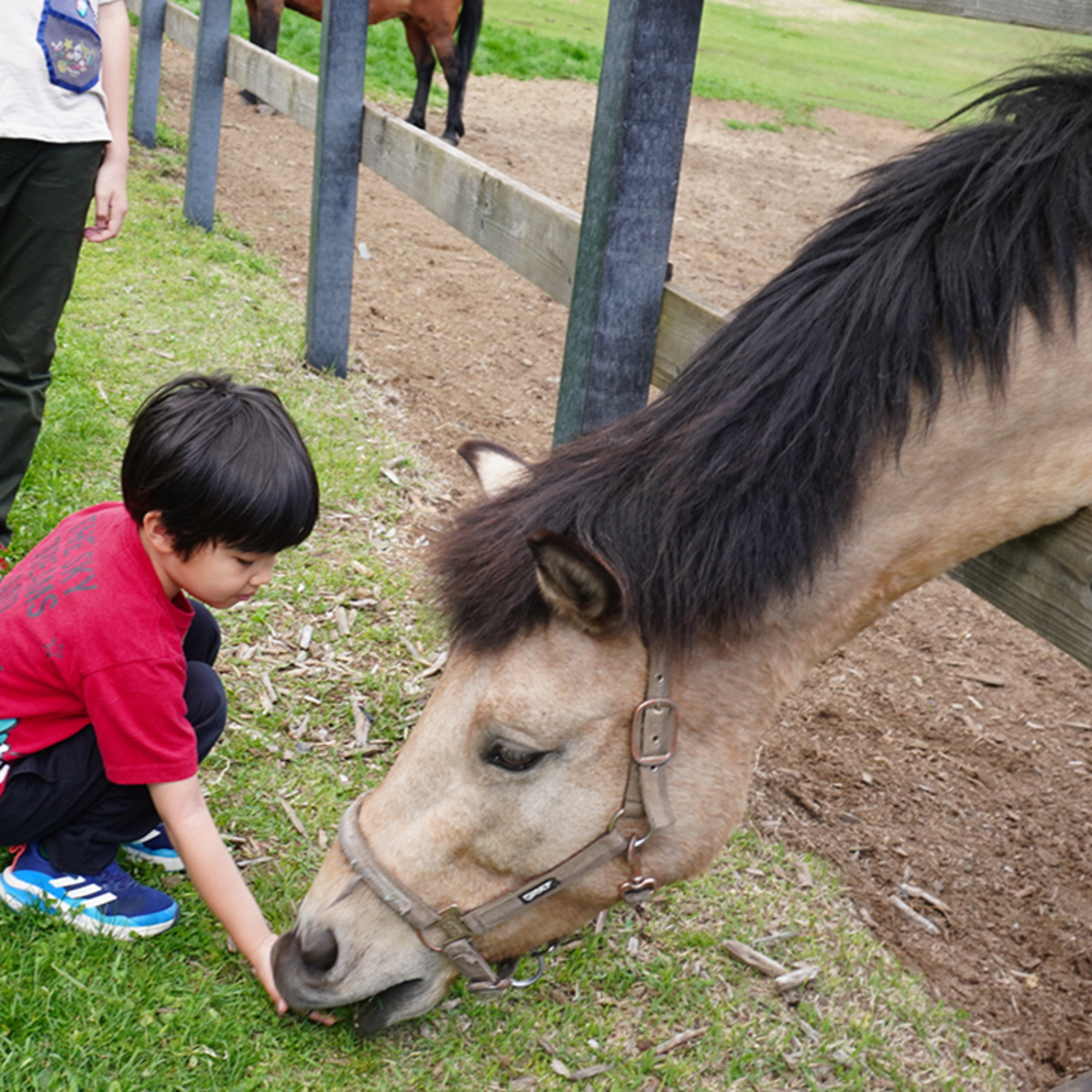 2026.04.16.「見る」から「自分ごと」へ—木曽馬が教えてくれた展示の力