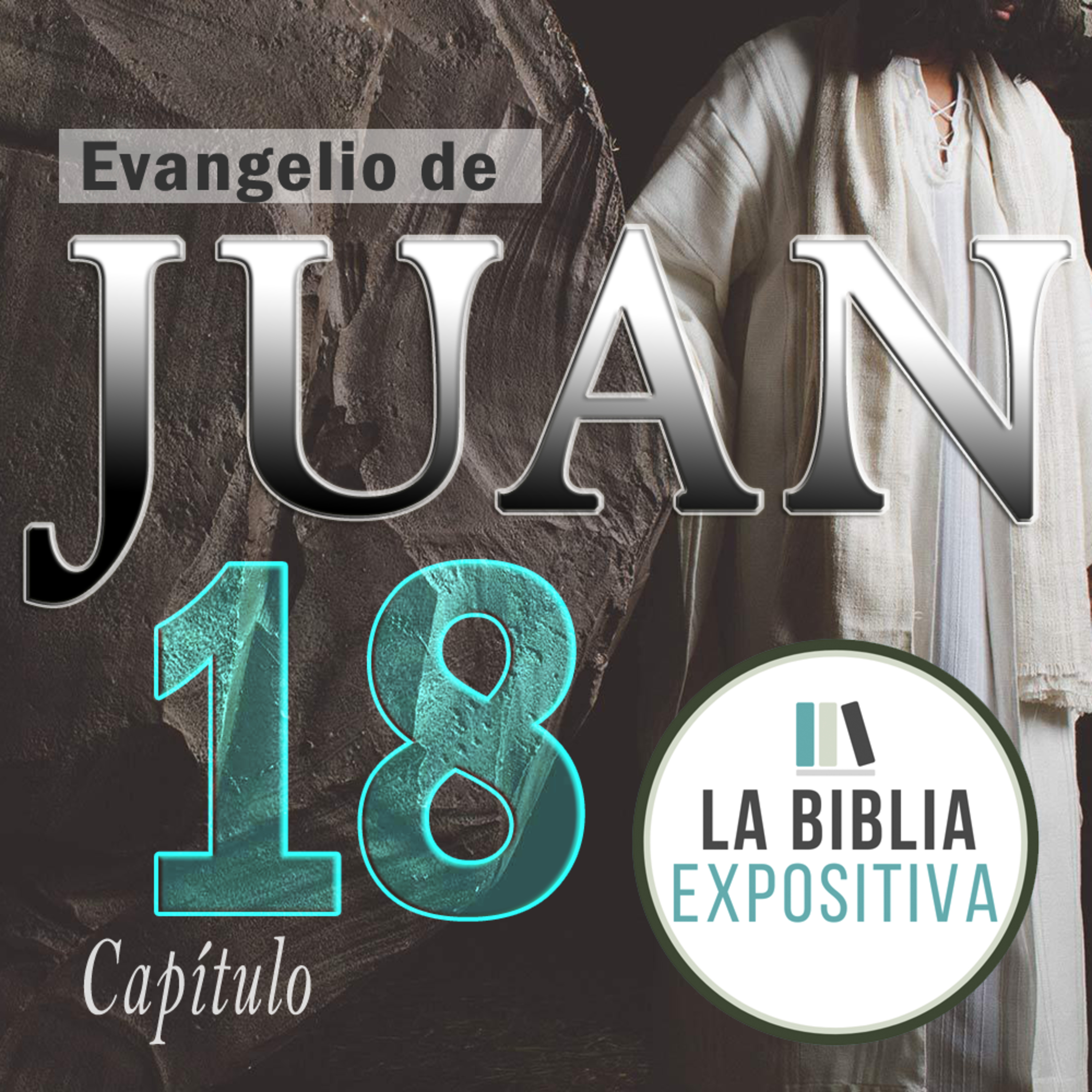 Portada de La Biblia Expositiva