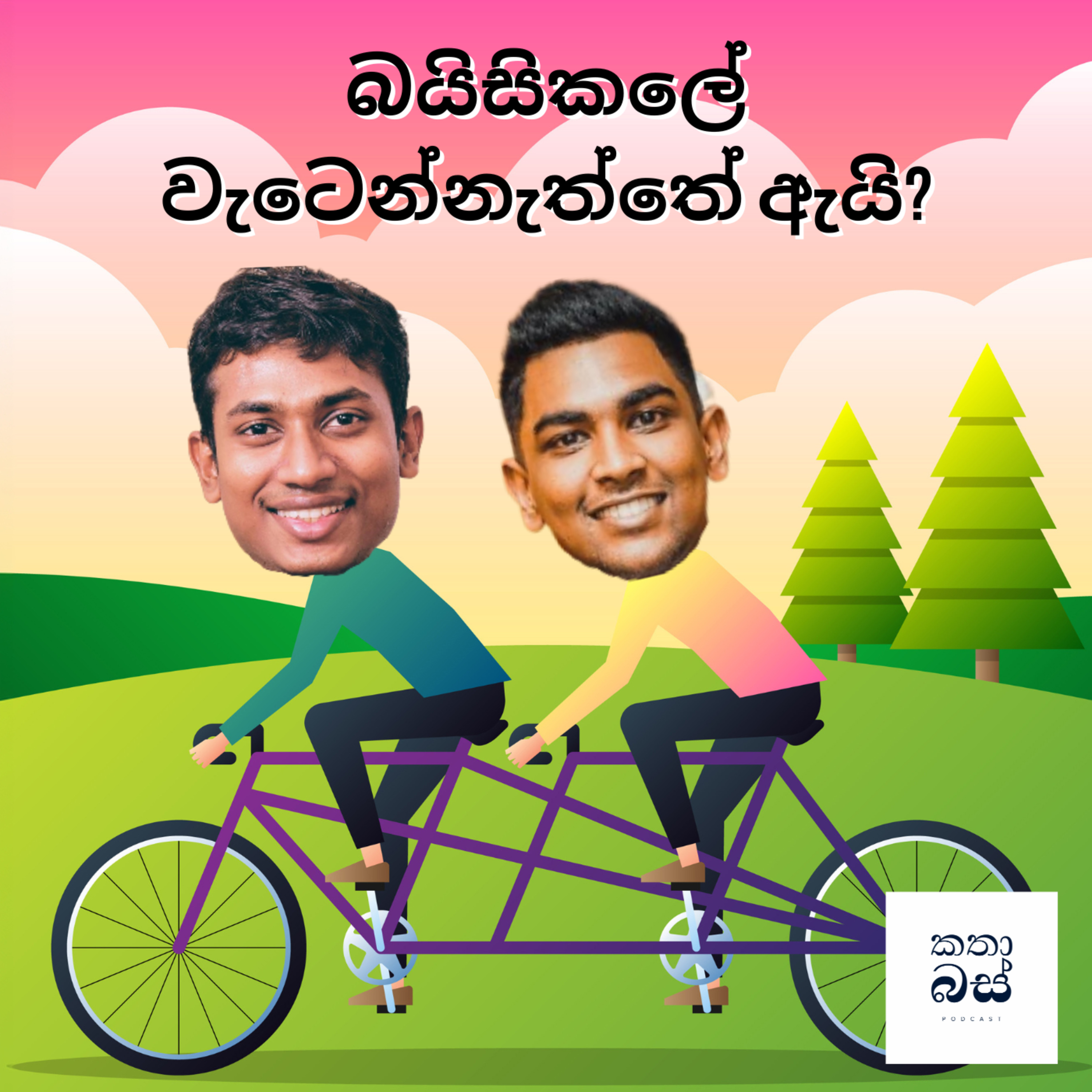 බයිසිකලේ වැටෙන්නැත්තේ ඇයි?