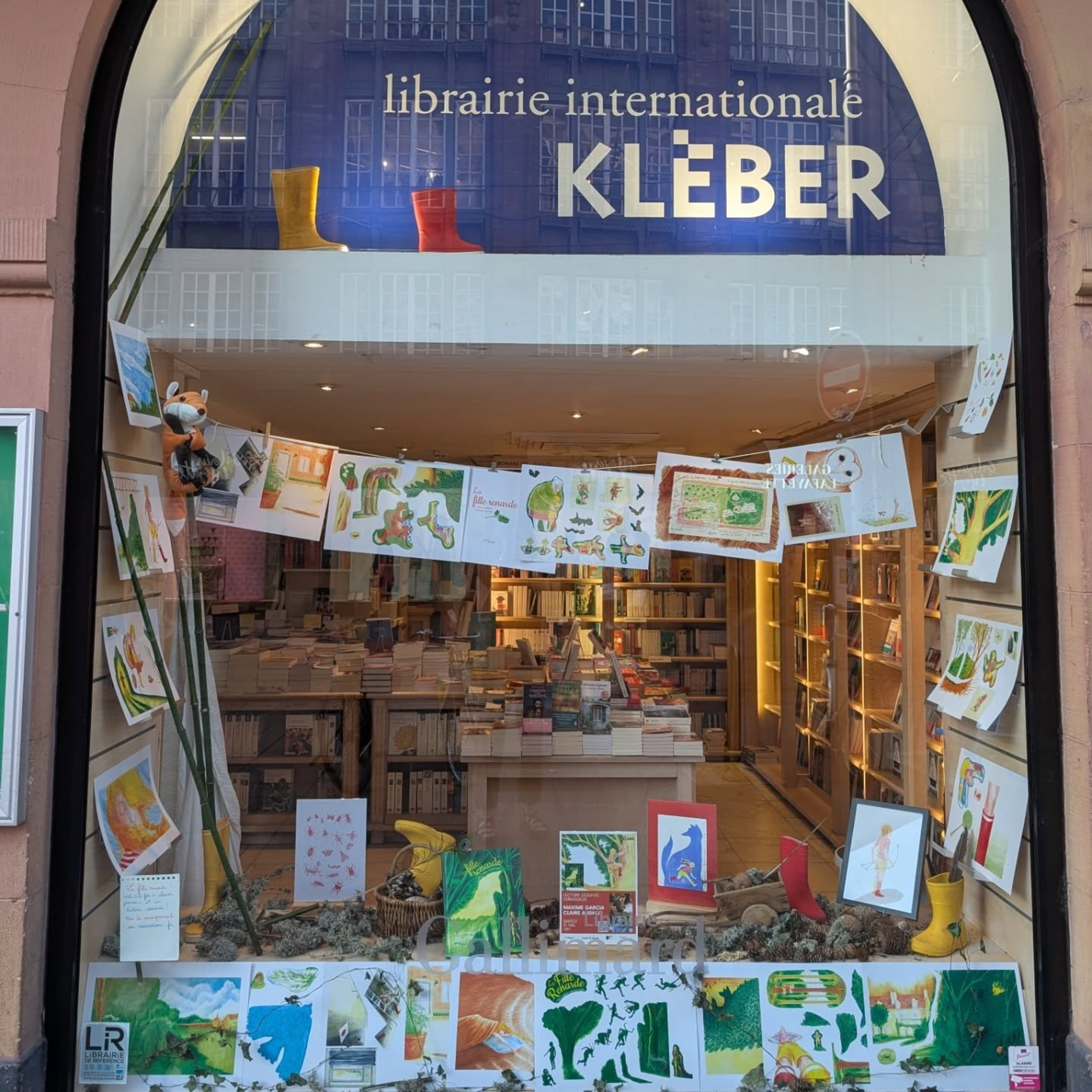 Rénovation de la librairie Kléber Rénovation de la librairie Kléber
