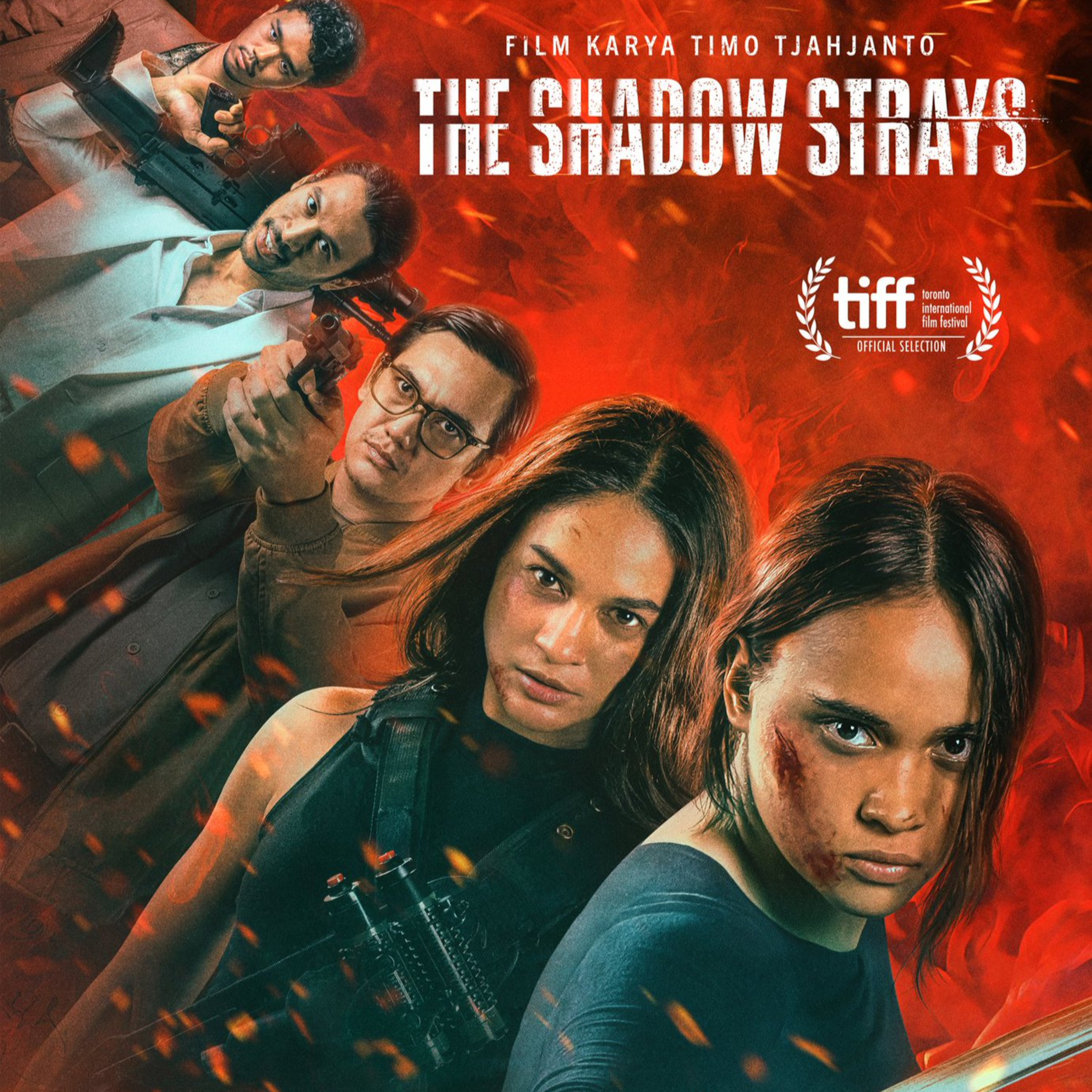 *General Review* The Shadow Strays (2024) episode artwork