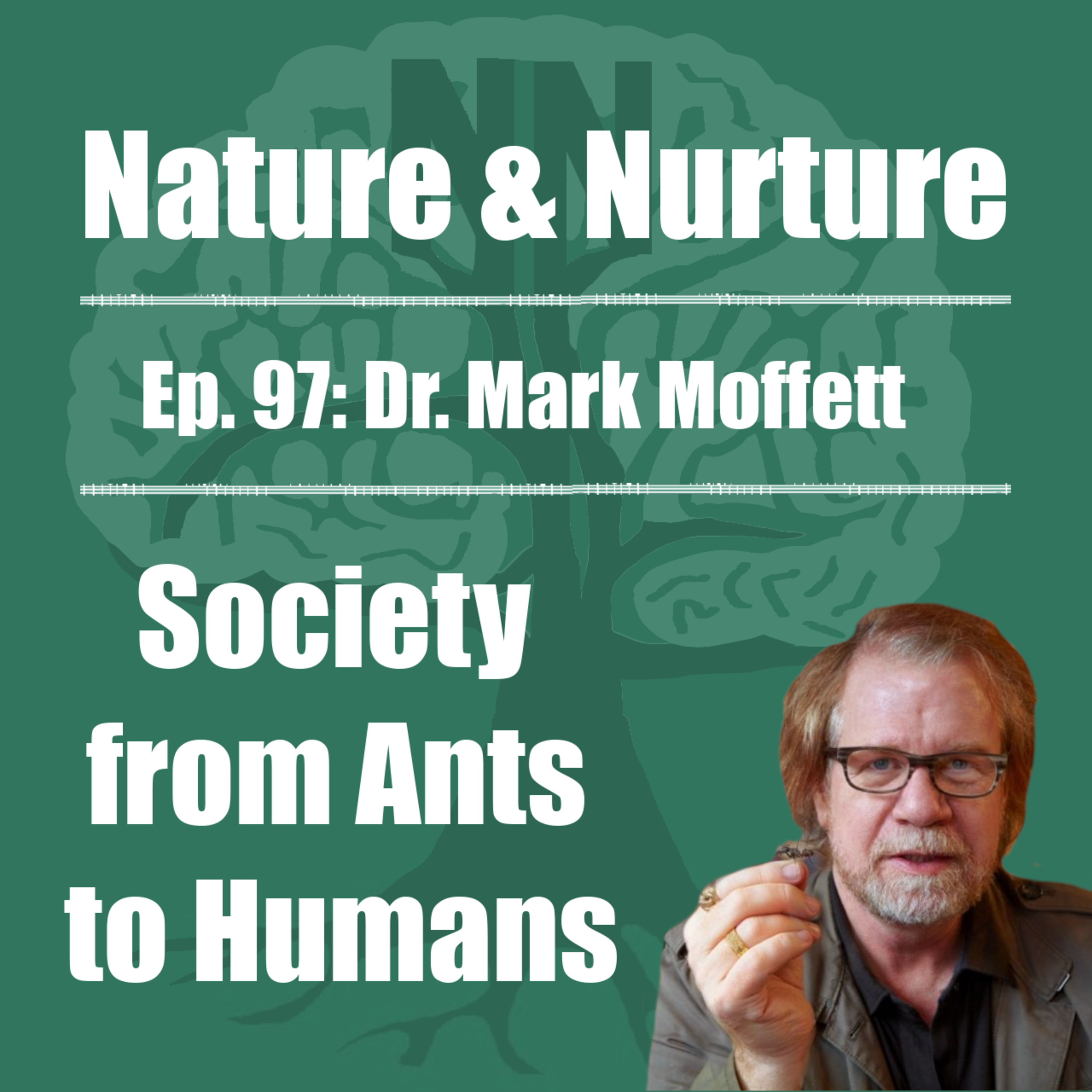 The Nature & Nurture Podcast