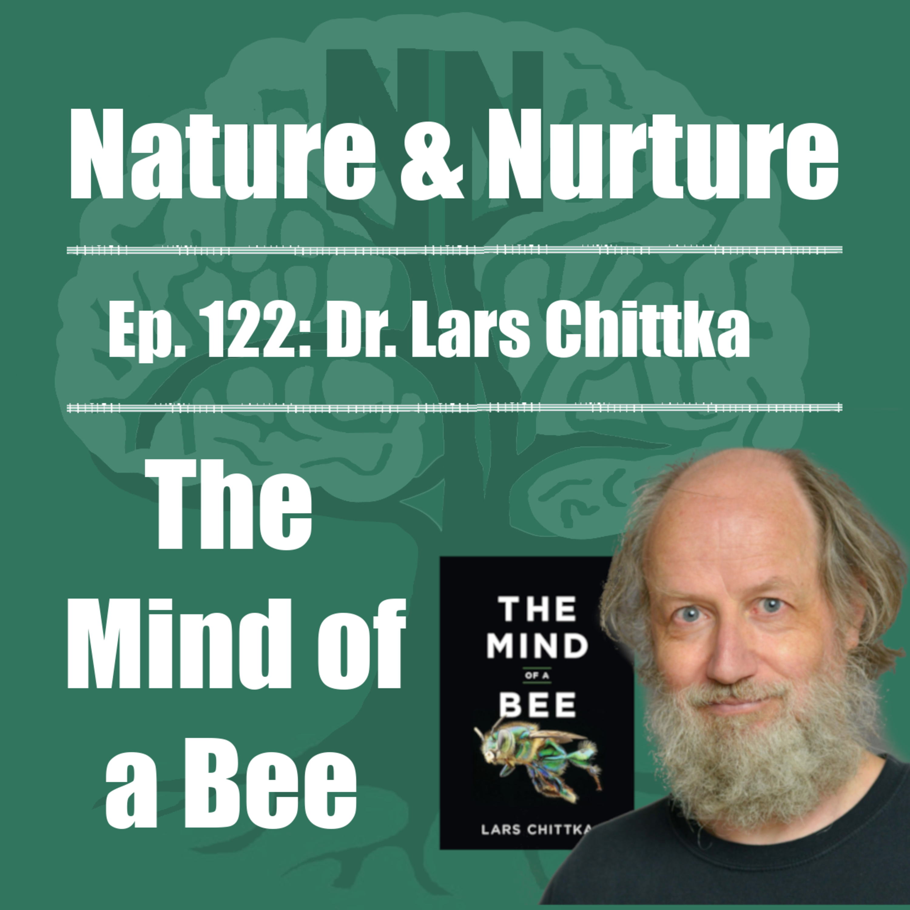 Nature & Nurture #122: Dr. Lars Chittka - The Mind of a Bee episode artwork