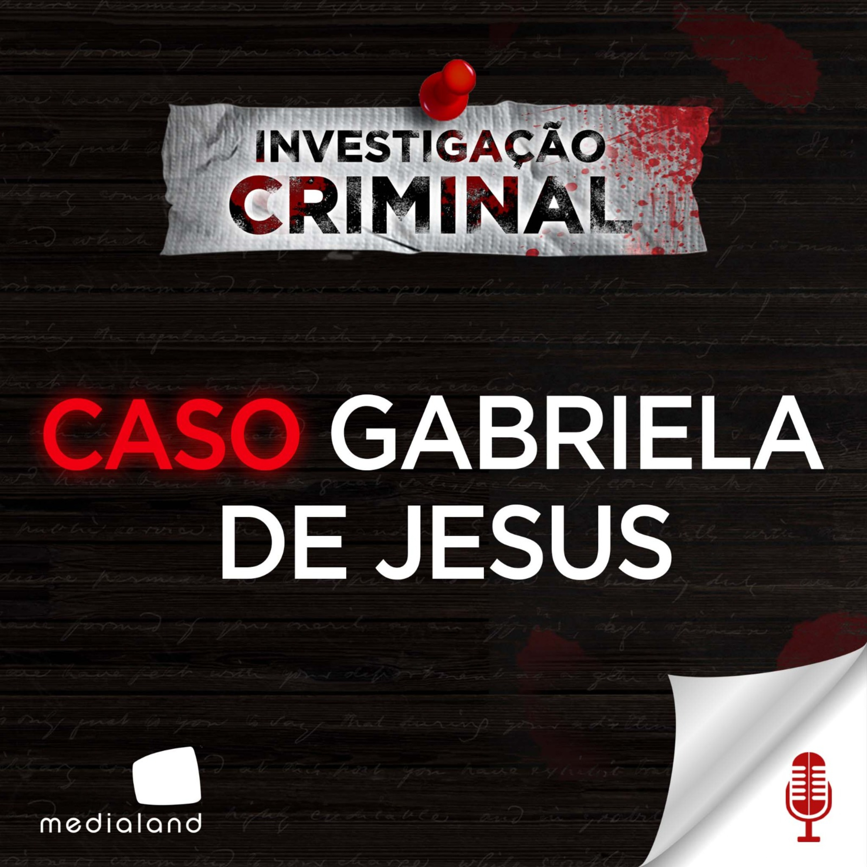 O PLANO CRU3L PARA M4TAR GABRIELA DE JESUS - INVESTIGAÇÃO CRIMINAL #105