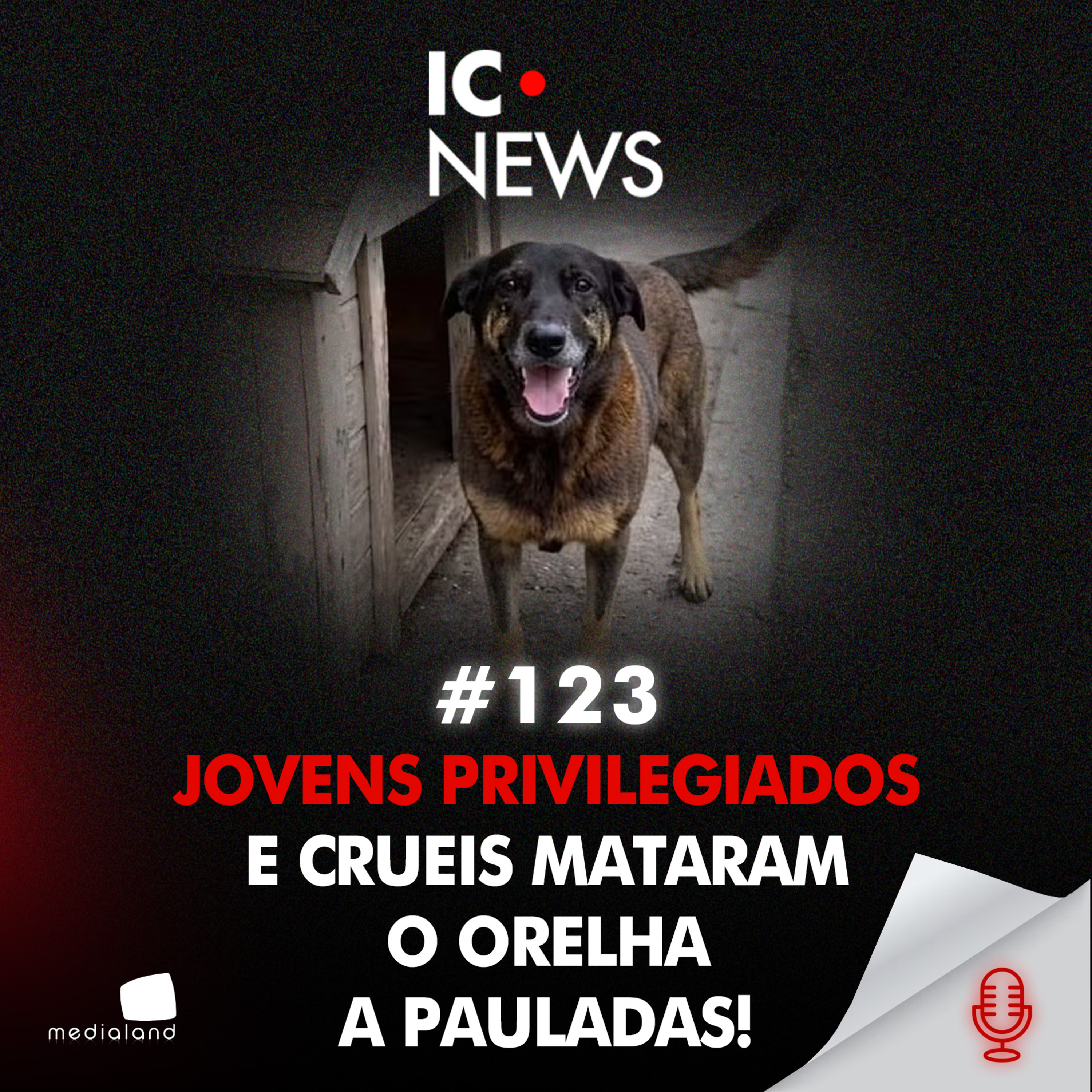 CASO CÃO ORELHA: AMEAÇAS A TESTEMUNHAS, ACOBERTAMENTO E DESAFIO DIGITAL #123