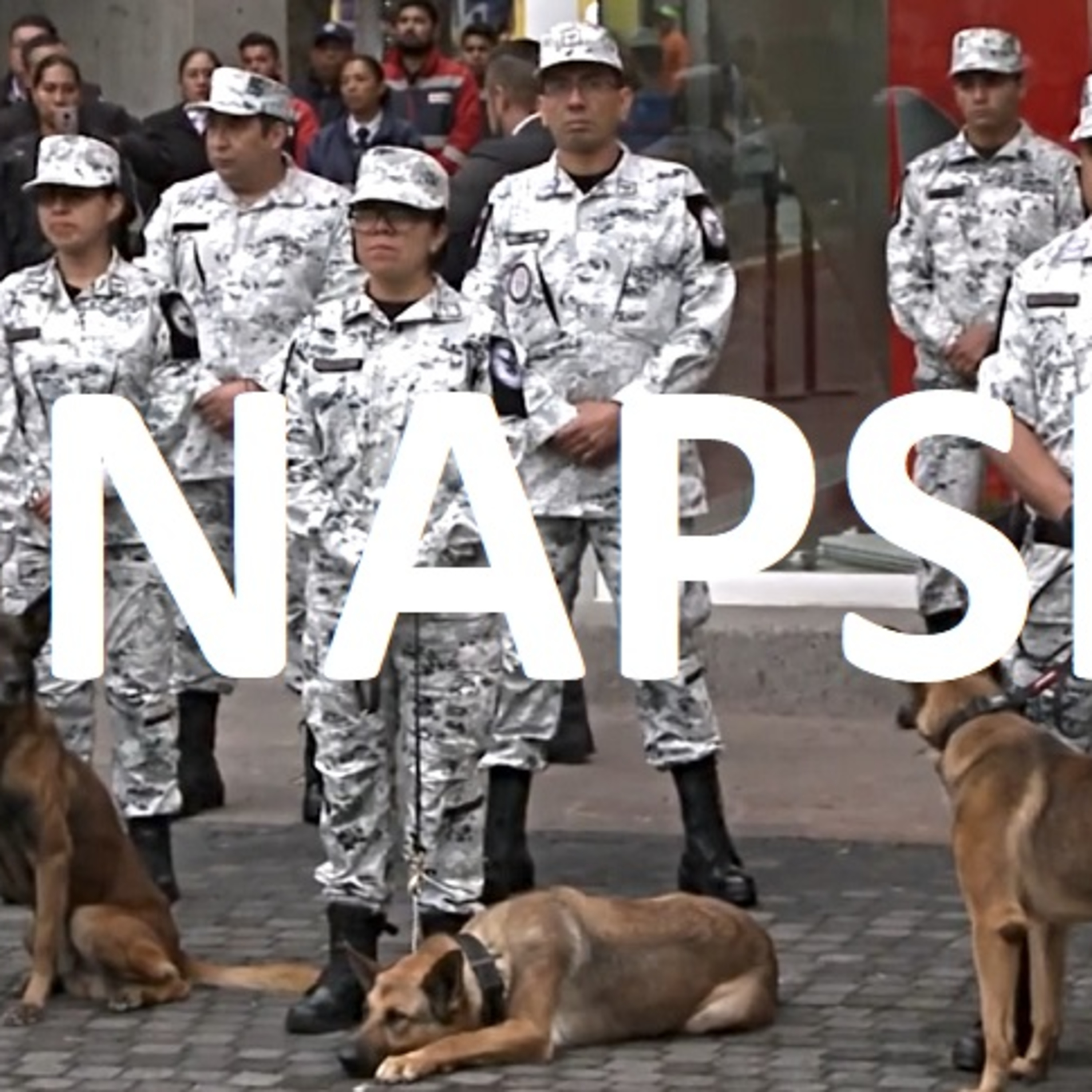 Sinapsis Política