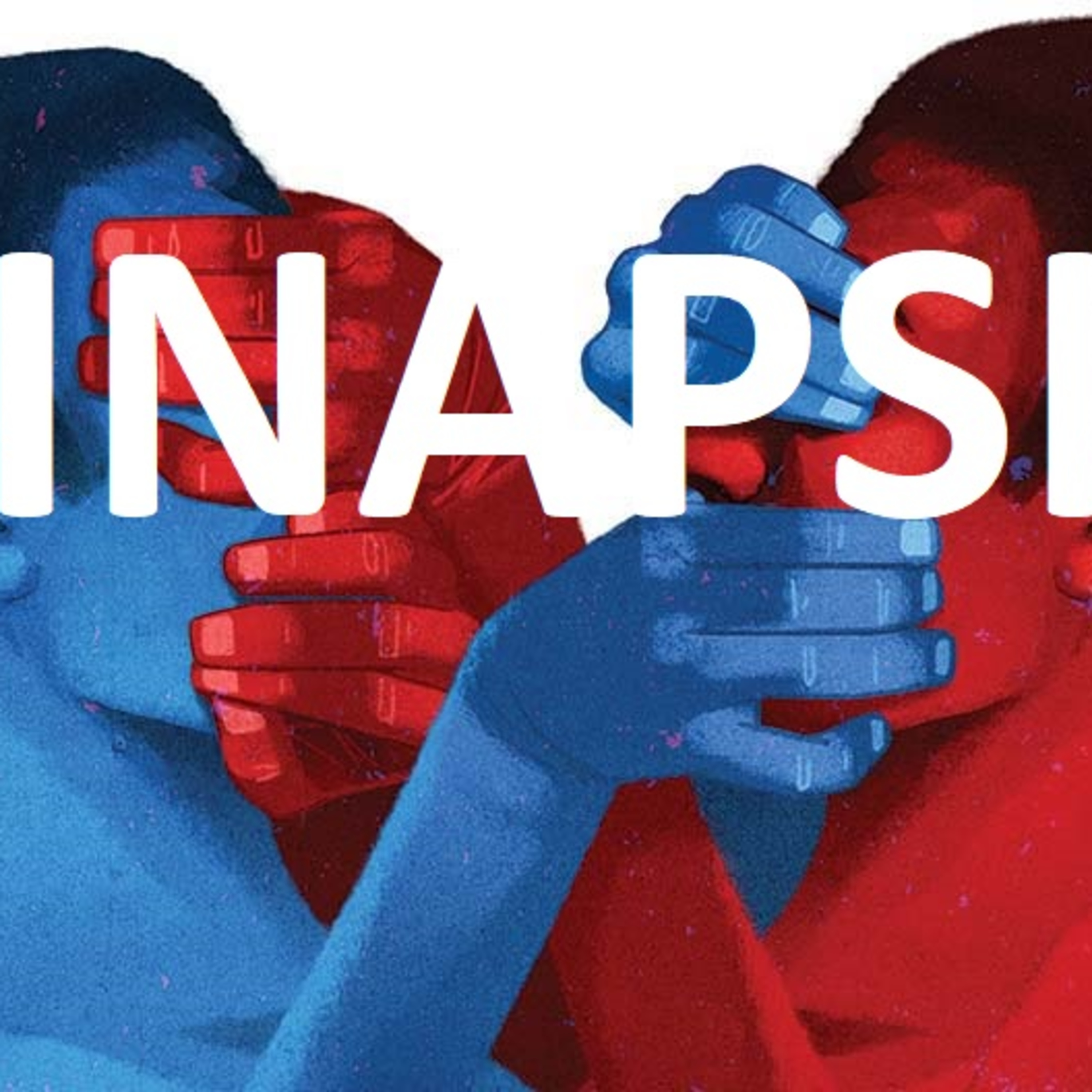 Sinapsis Política
