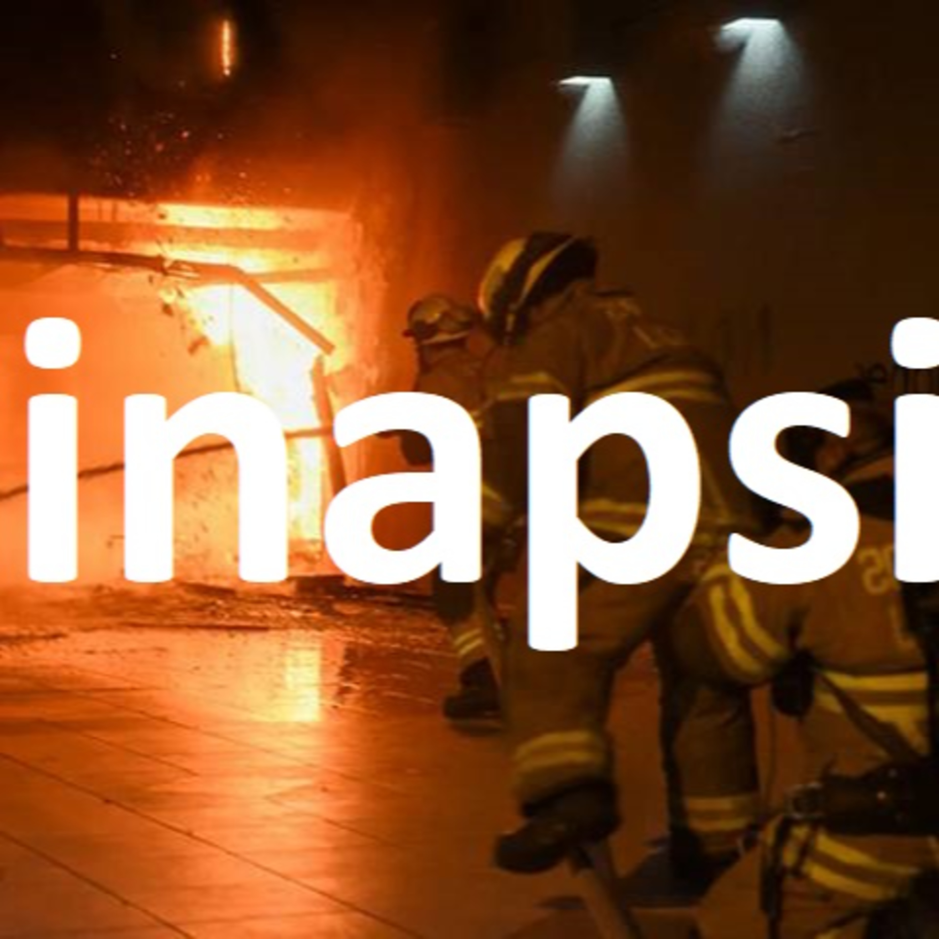 Sinapsis Política