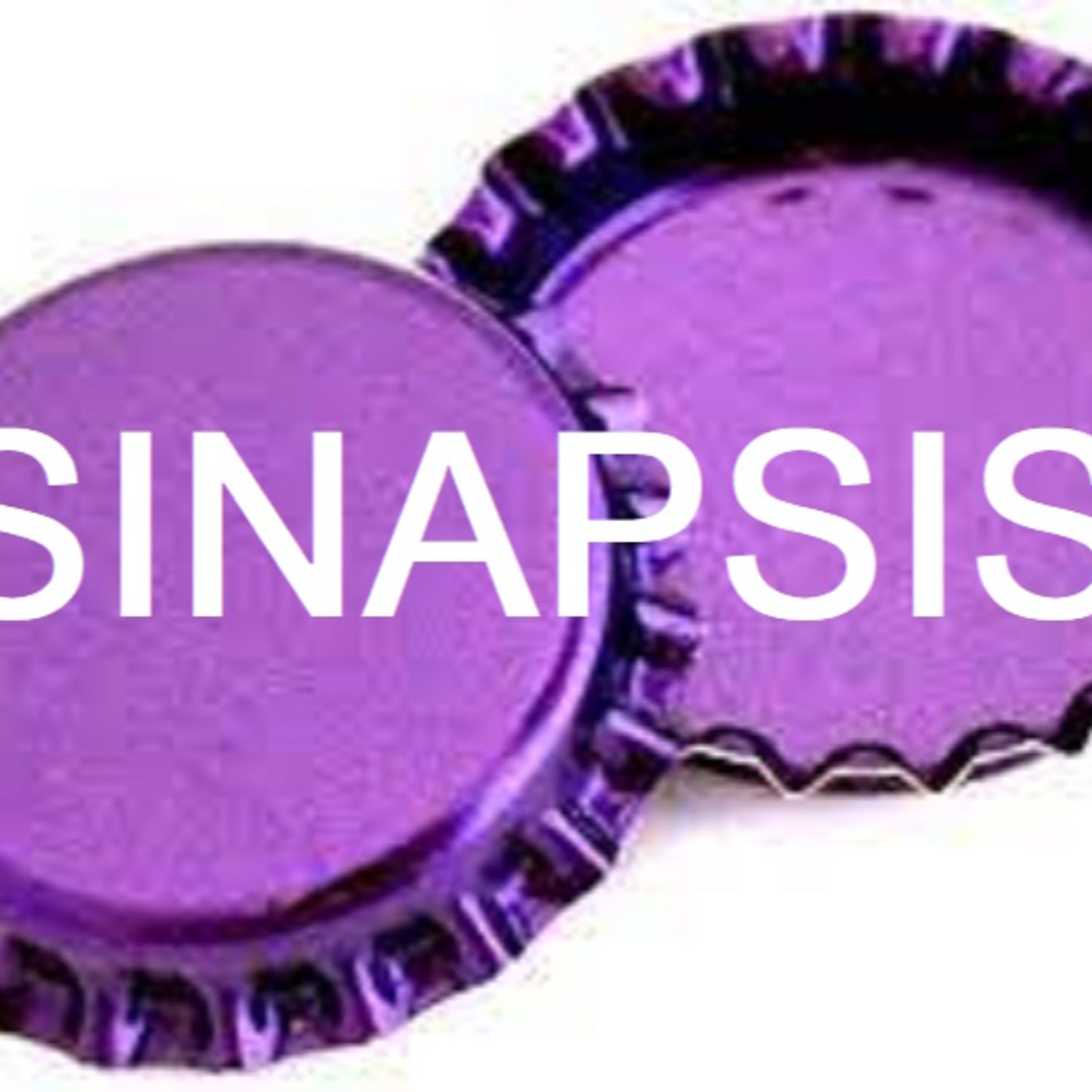 Sinapsis Política