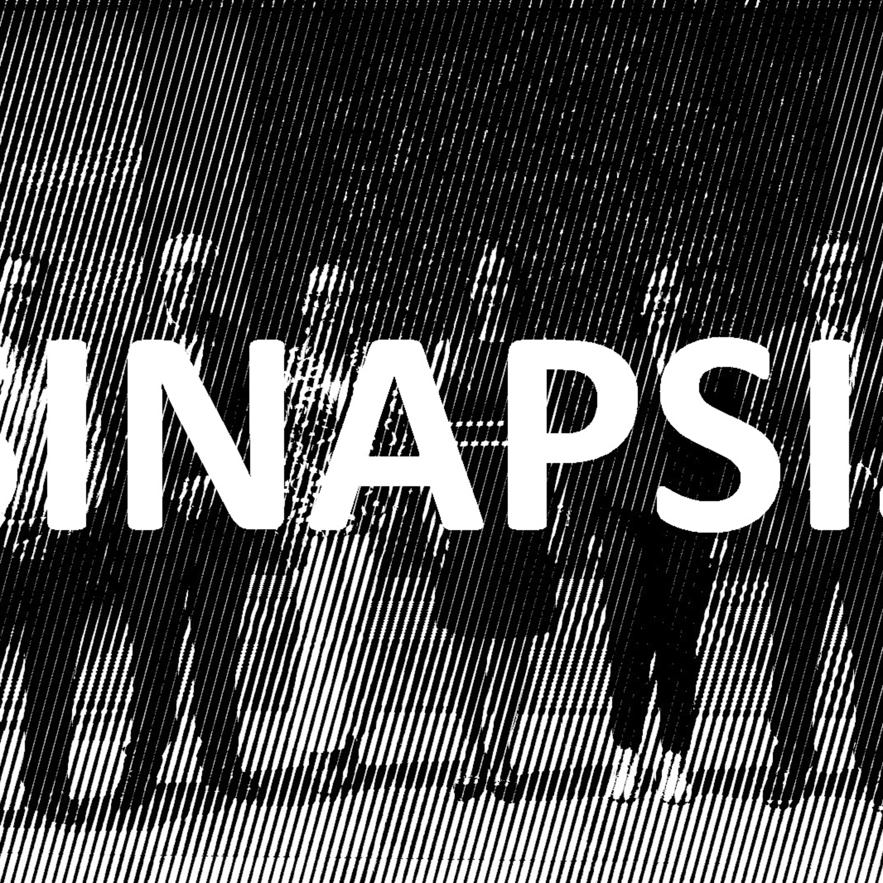 Sinapsis Política