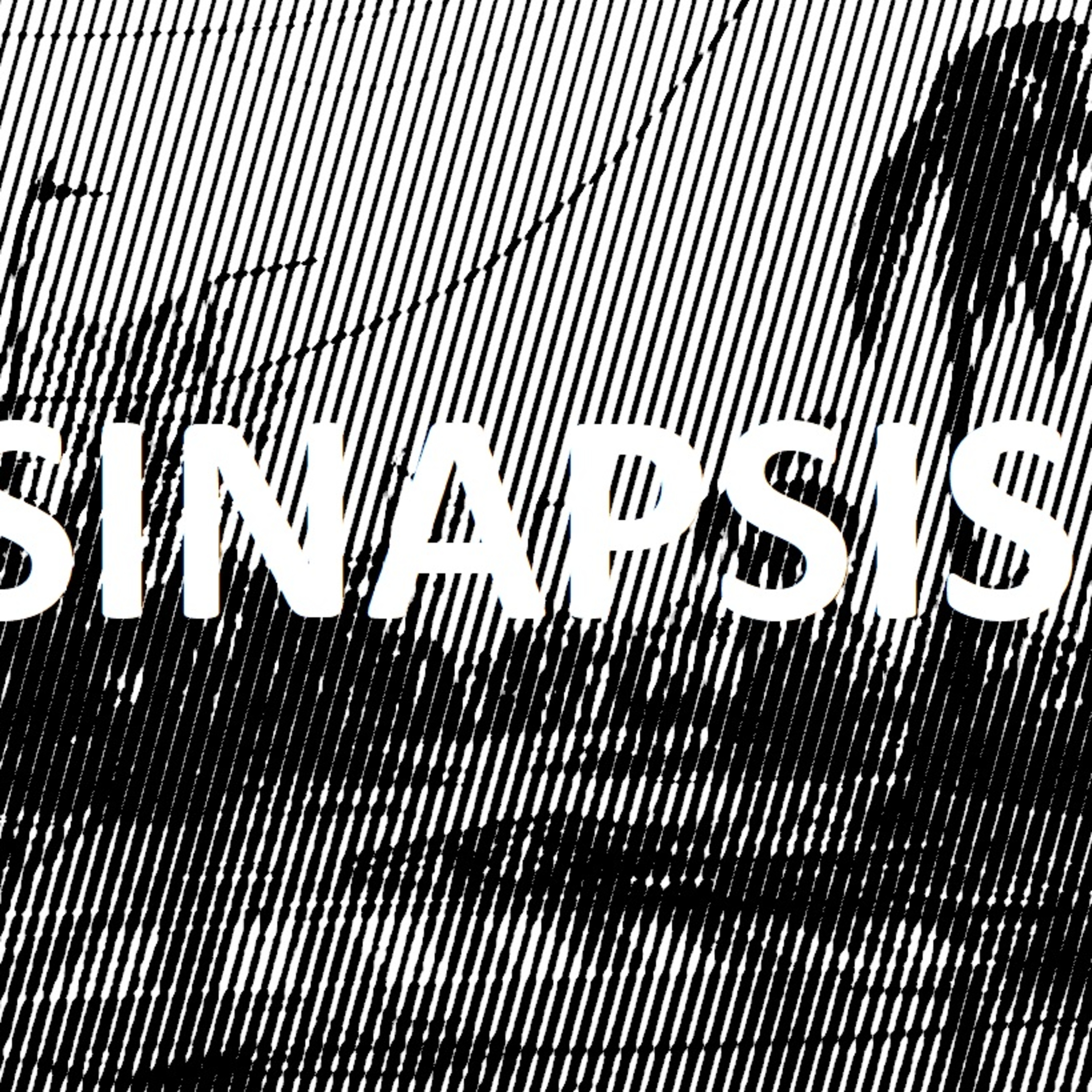 Sinapsis Política