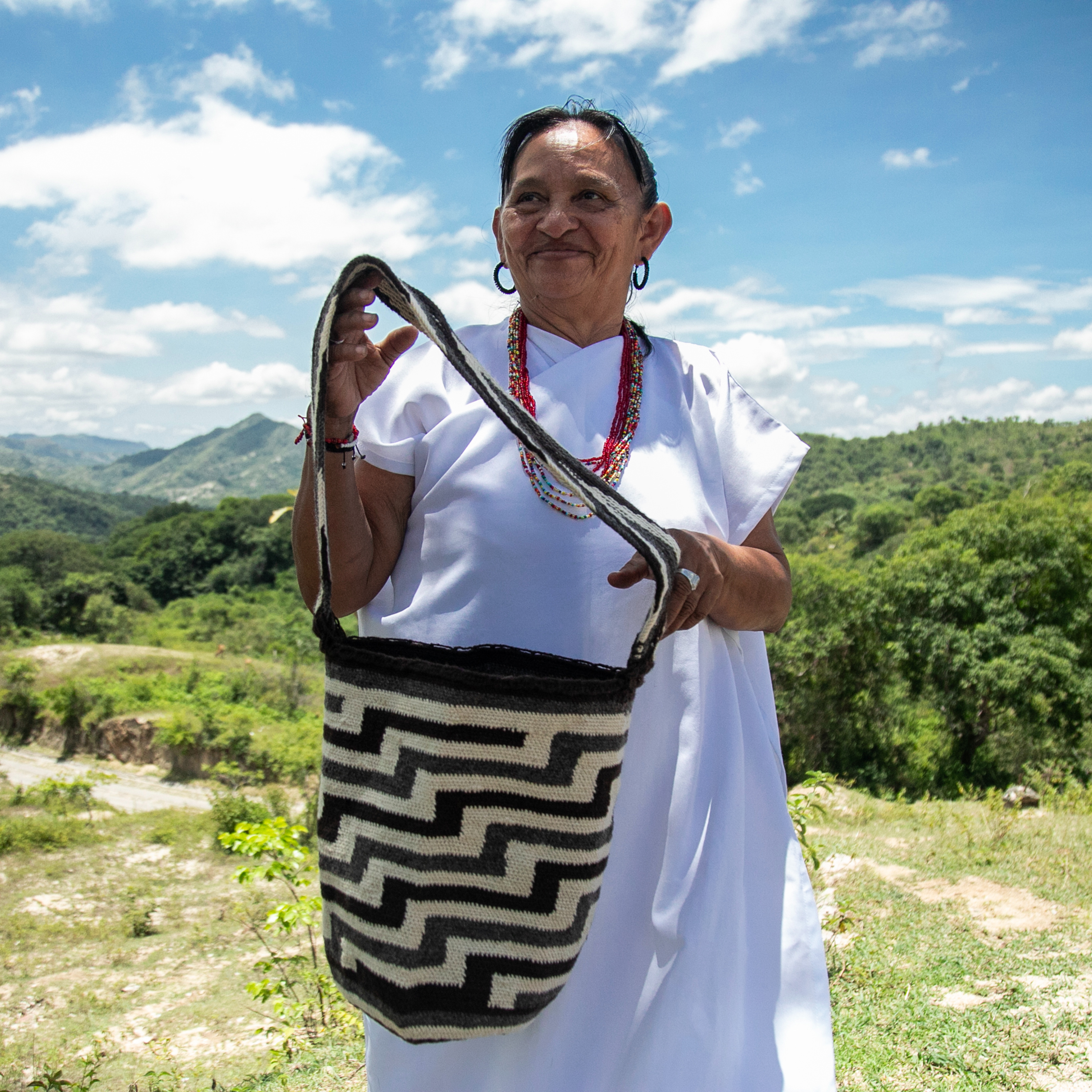 Portada de Artesanías de Colombia