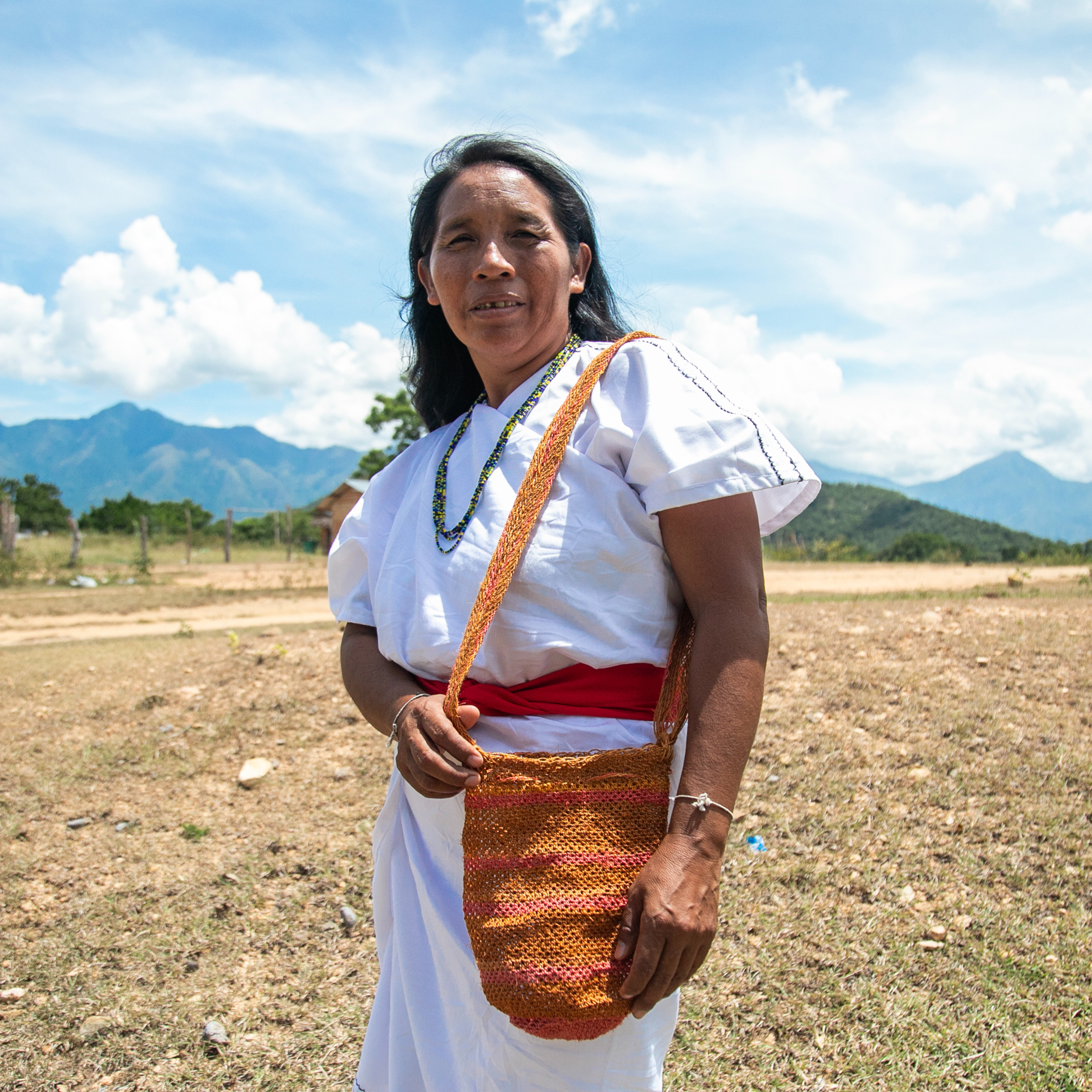Portada de Artesanías de Colombia