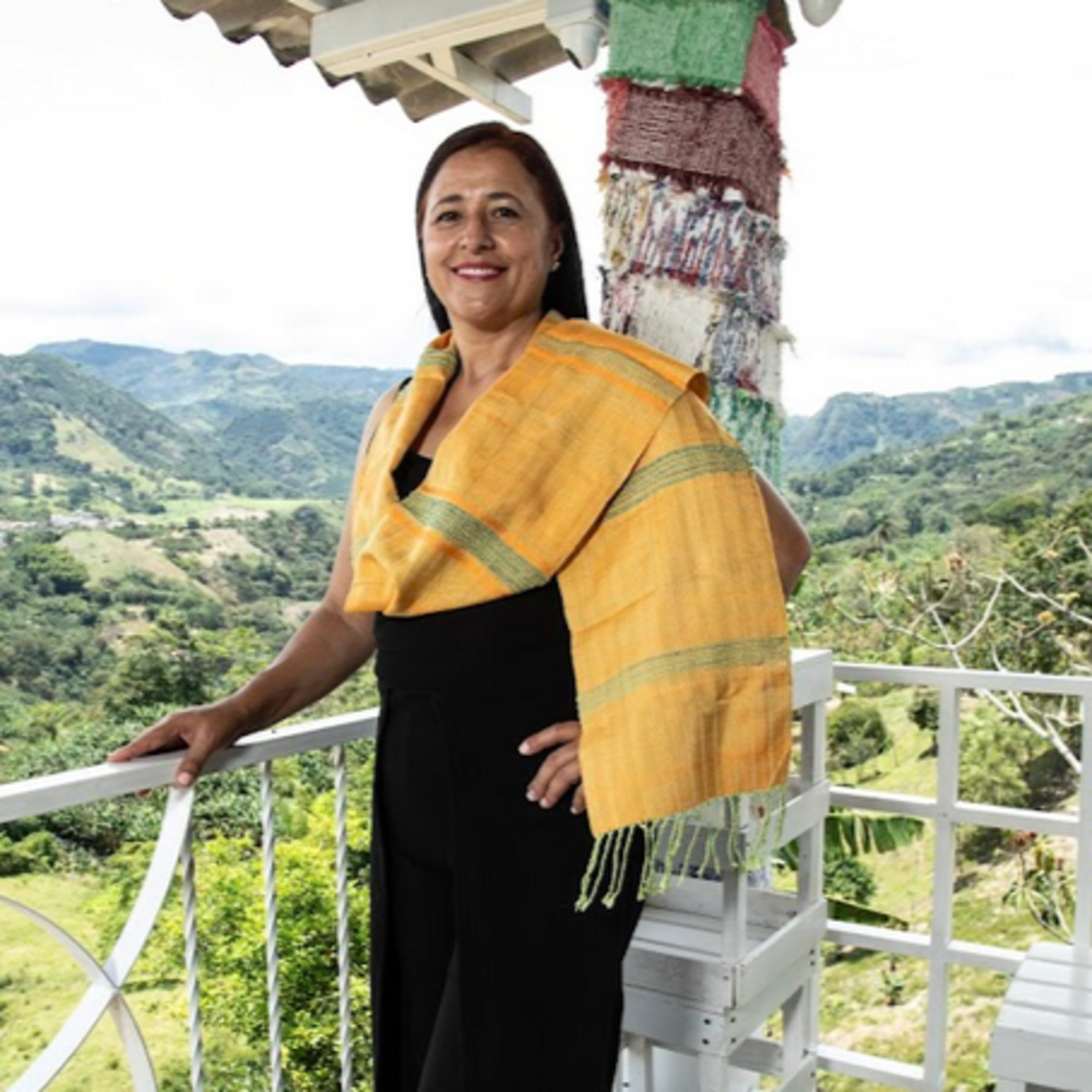Portada de Artesanías de Colombia