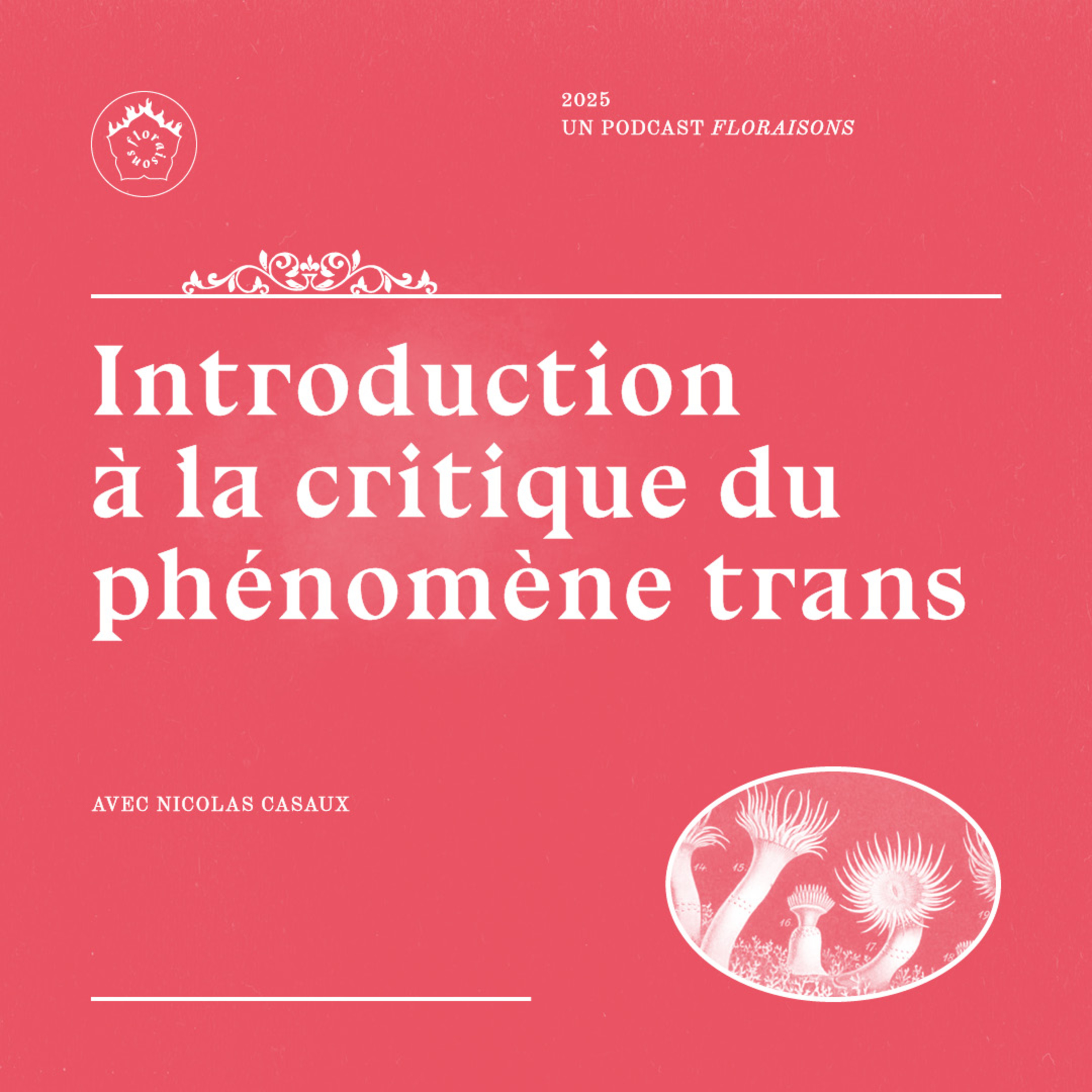 Introduction à la critique du phénomène trans (avec Nicolas Casaux)