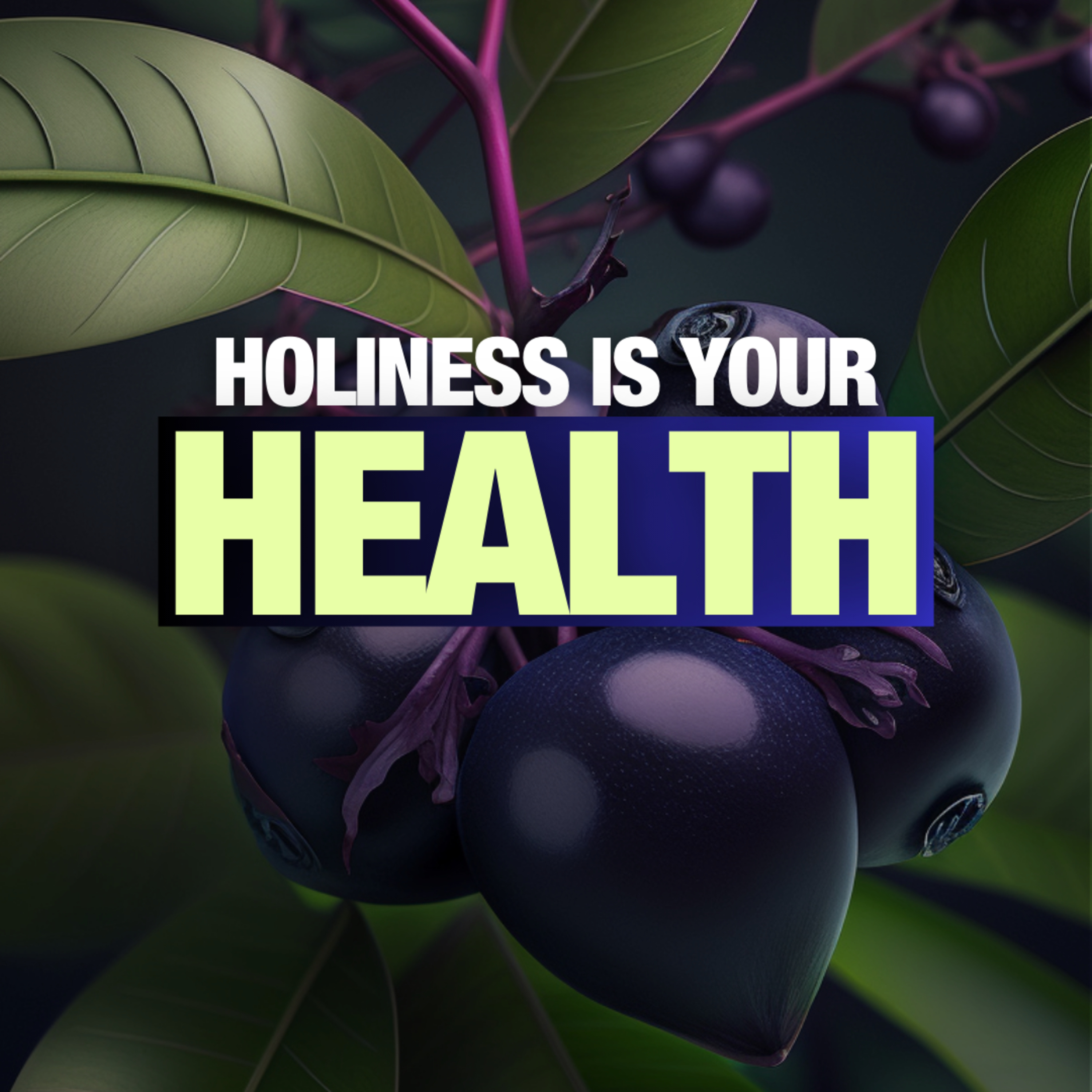Holiness is Your Health | Apostle's Meditation episode artwork