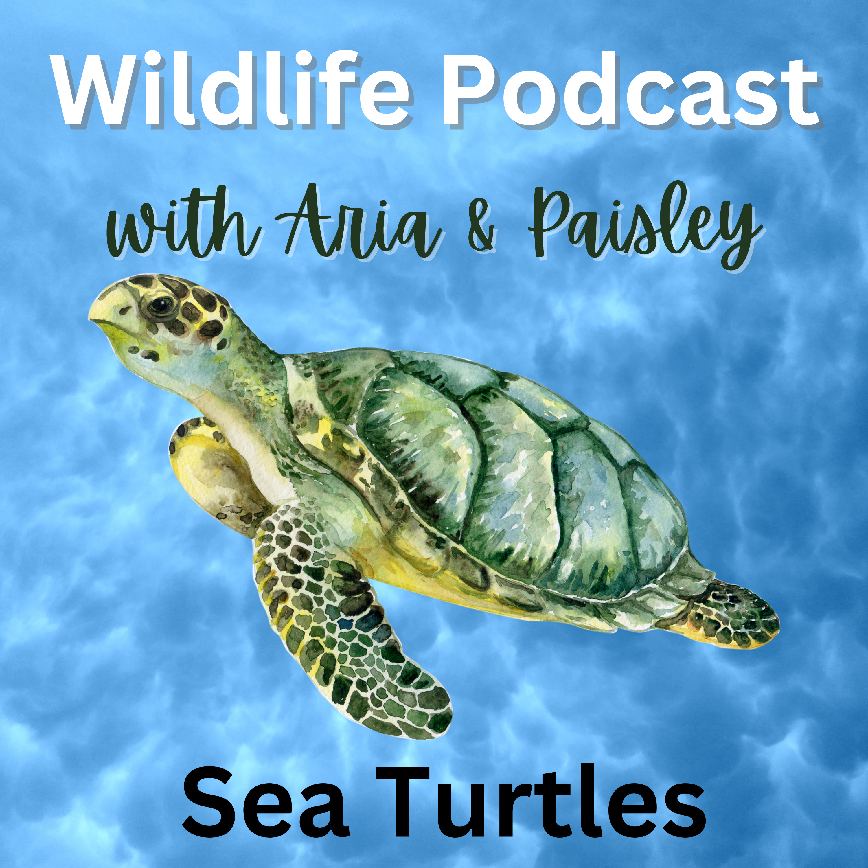 Alanton Astros Podcast