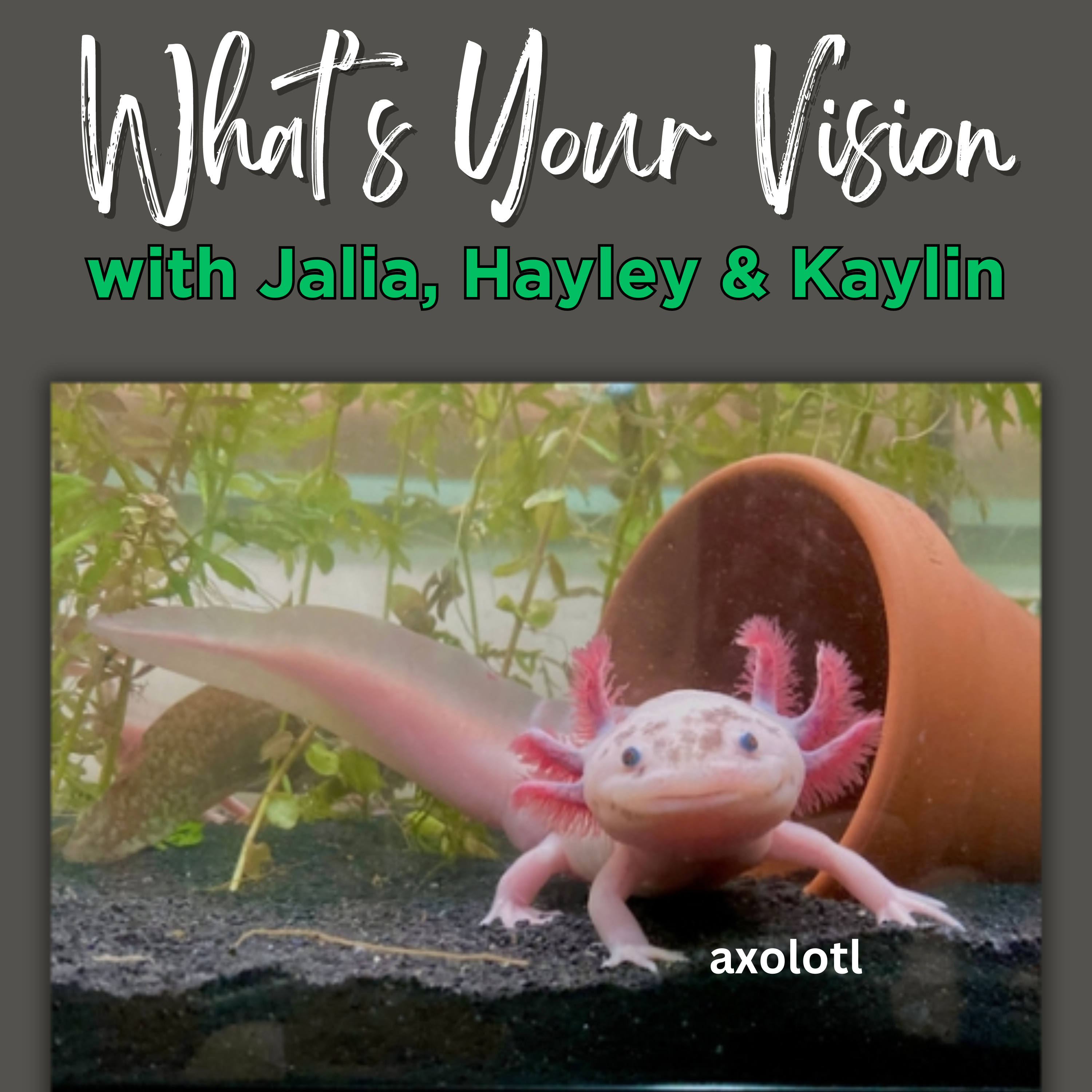 Alanton Astros Podcast