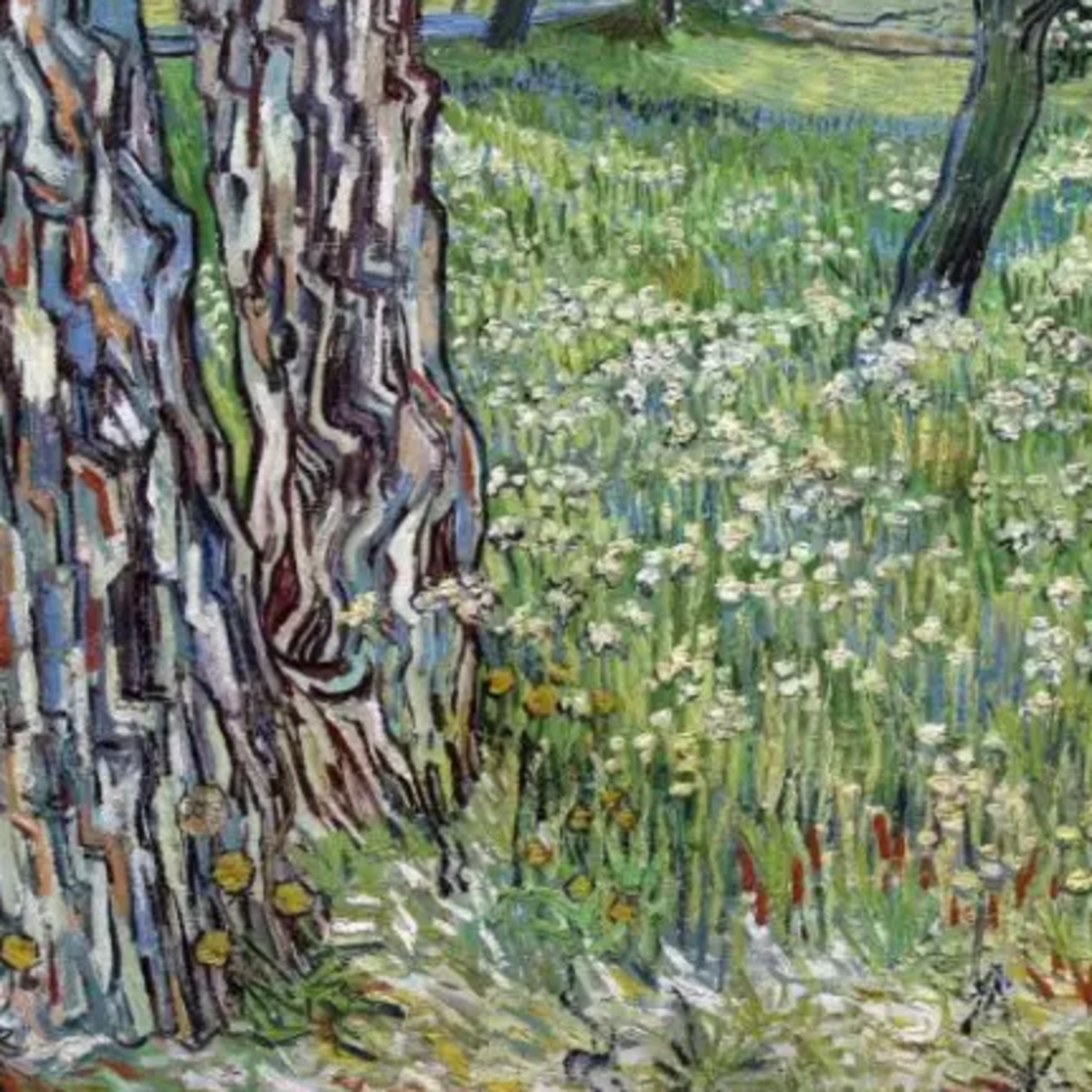Today I Walked Through the Hospital Garden episode artwork