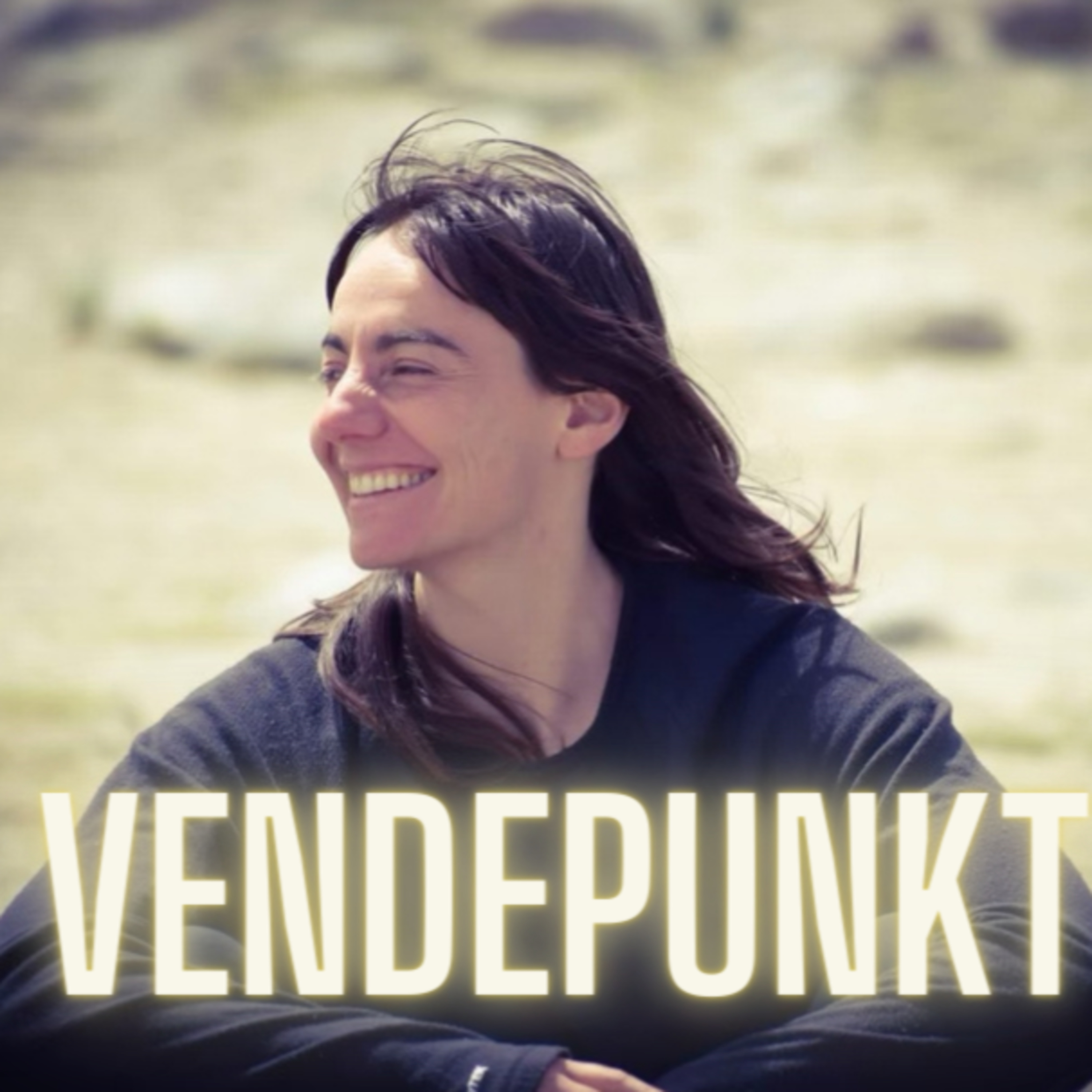 Vendepunkt