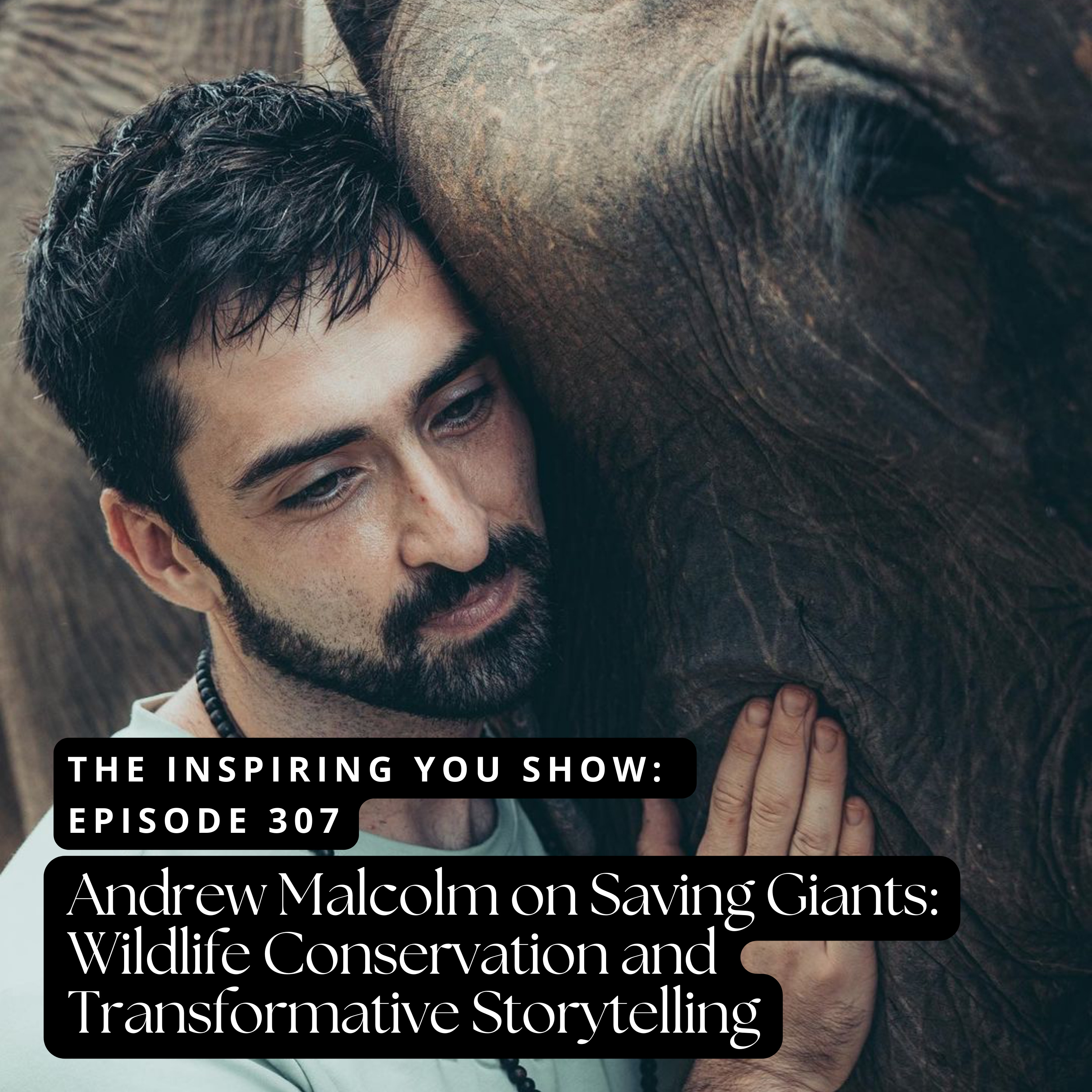Inspiring You Show