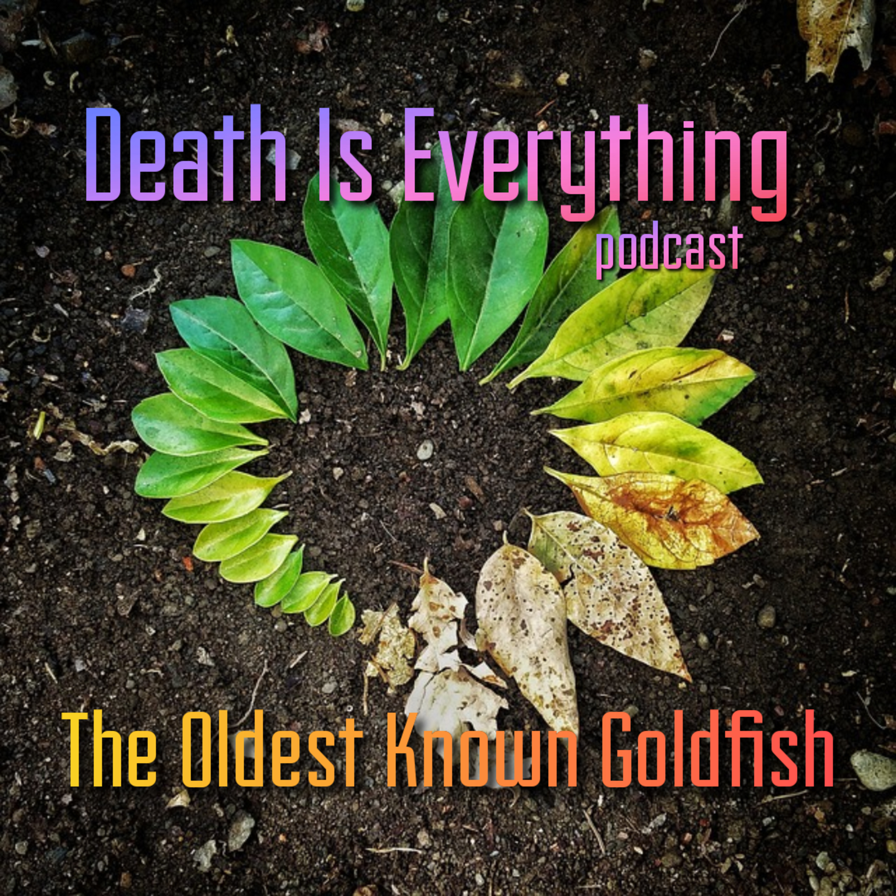 Death Is Everything