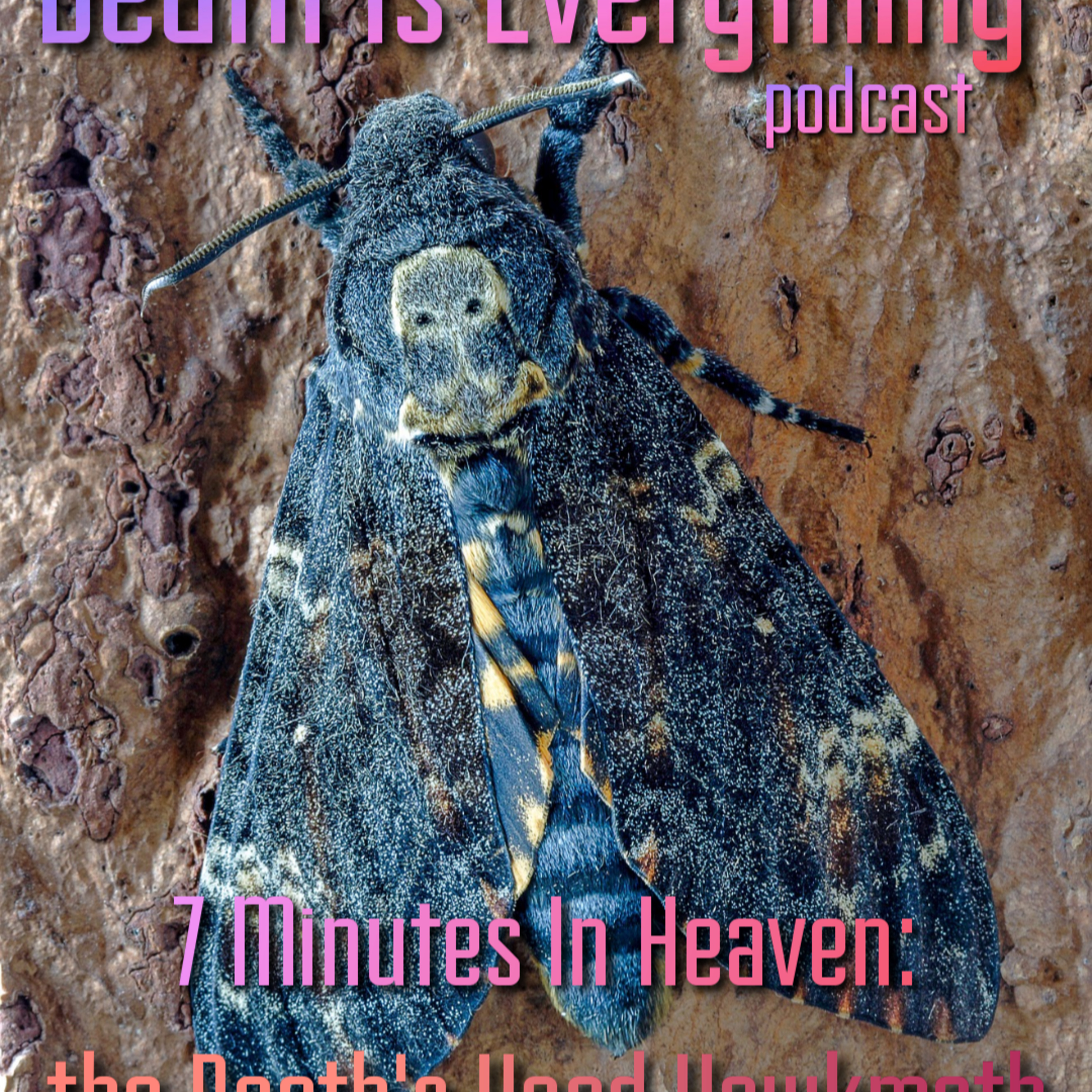 Death Is Everything