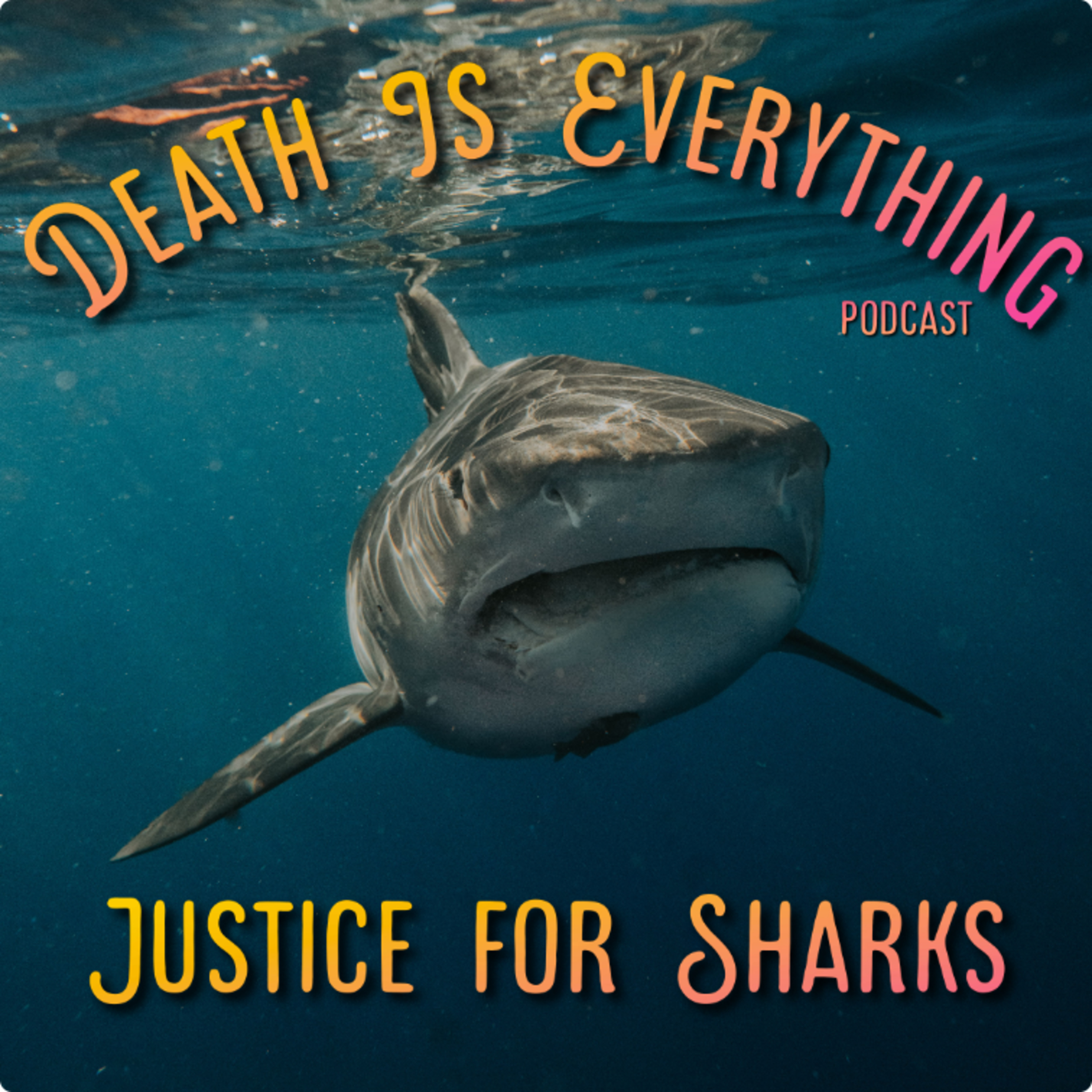 Justice For Sharks episode artwork