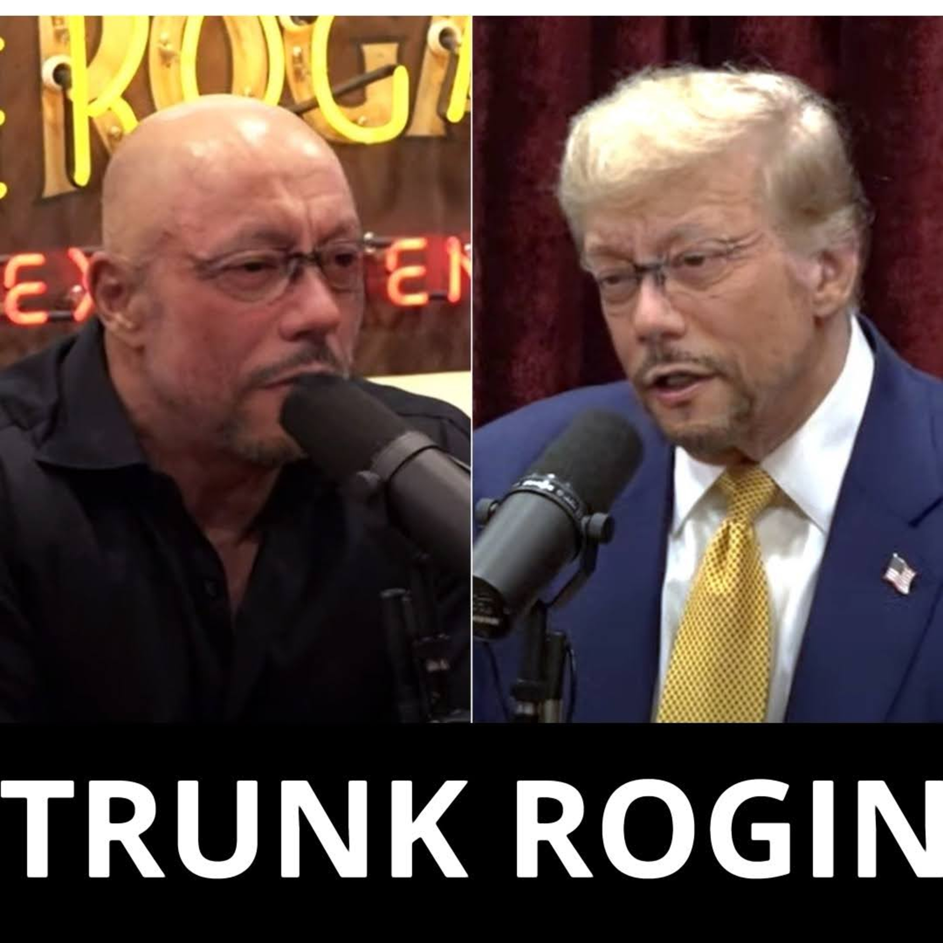 The Rogin Kim Cast
