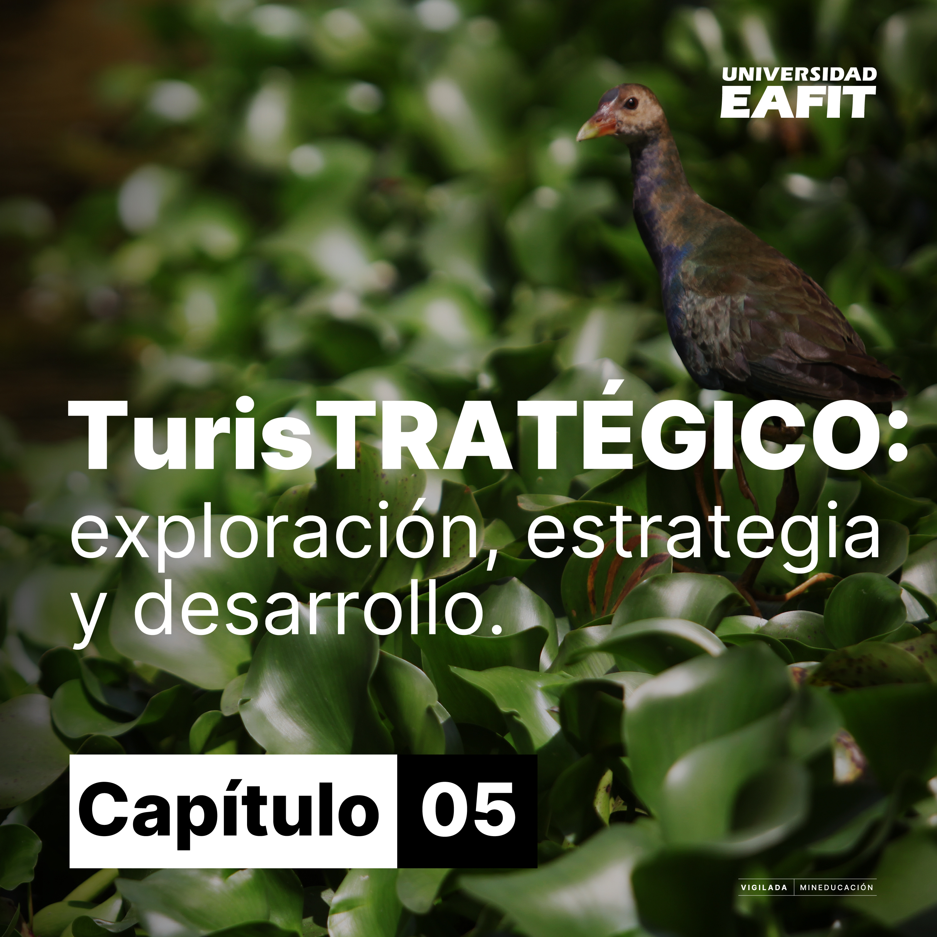 TurisTRATÉGICO: exploración, estrategia y desarrollo