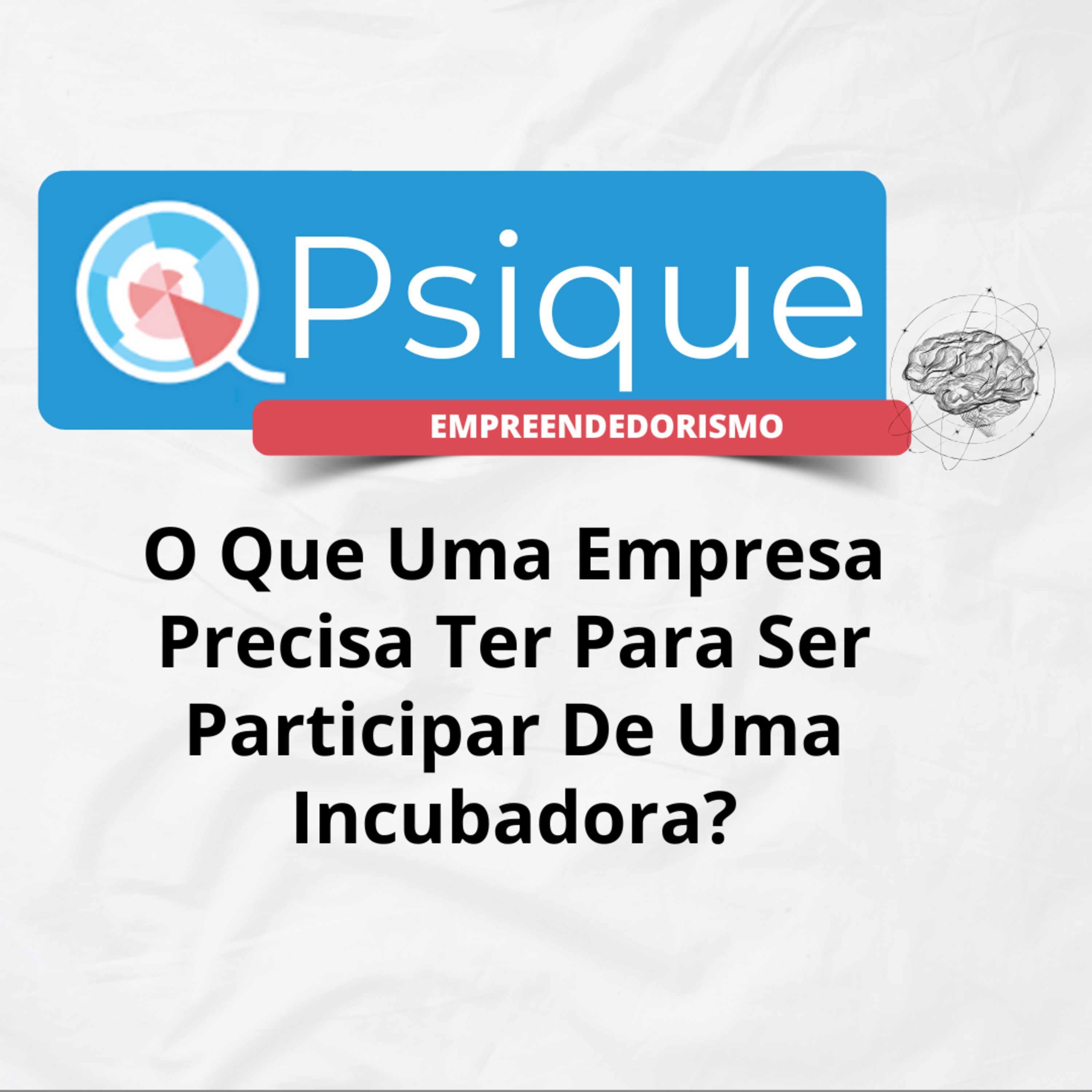 O Que Uma Empresa Precisa Ter Para Ser Participar De Uma Incubadora? episode artwork