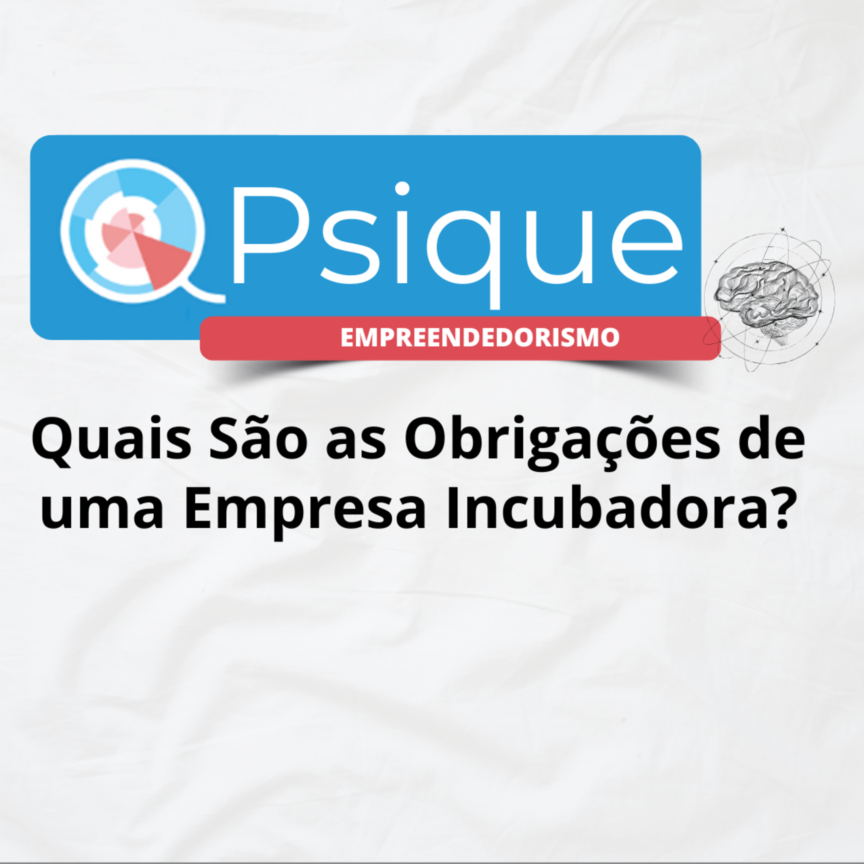 Quais São as Obrigações de uma Empresa Incubadora? episode artwork