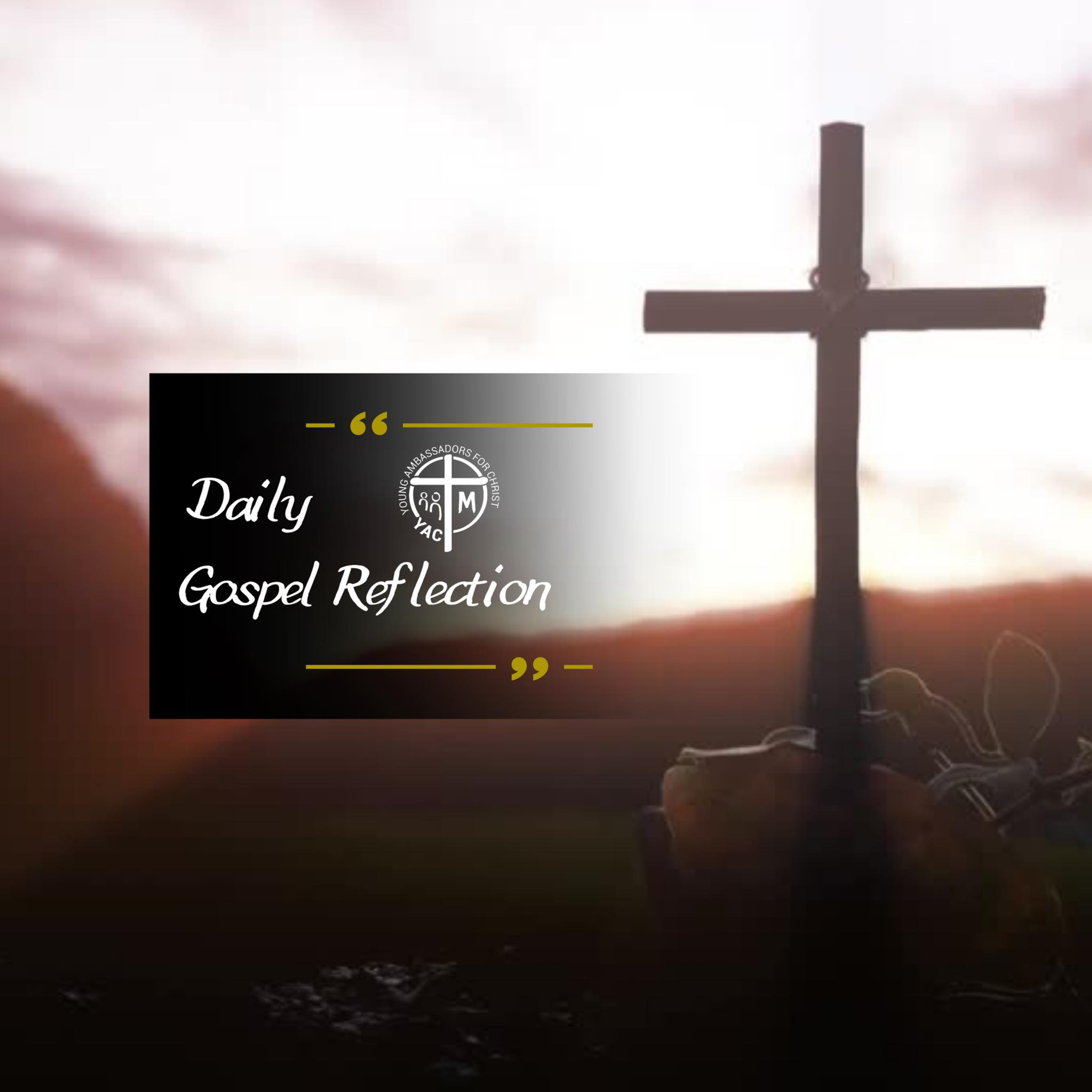  Thursday of the 30th Week in Ordinary Time - Gospel Reflection, November 02, 2023 episode artwork