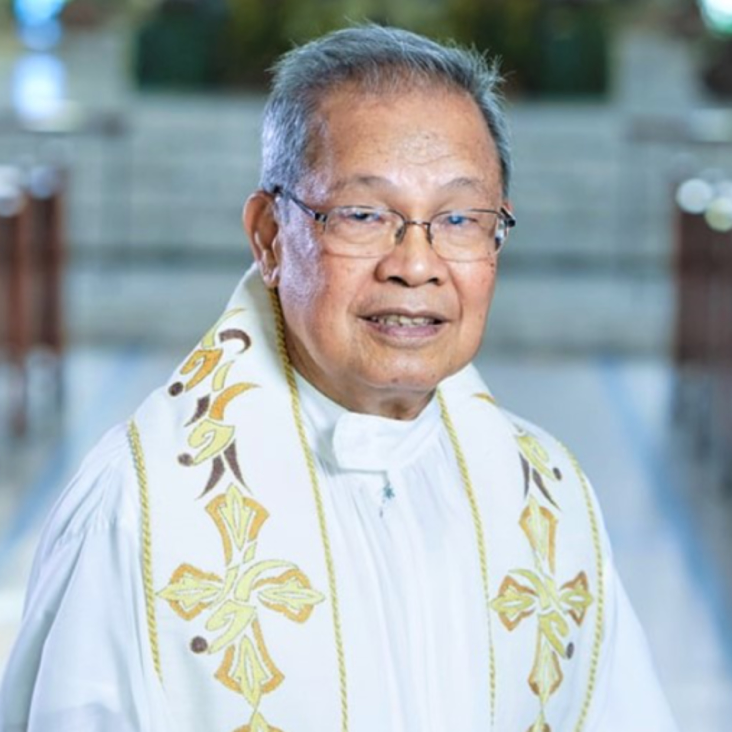 HOMILY REFLECTION OF REV. FR. FLORENCIO LAGURA, SVD (05.31.25 – 6:00PM) episode artwork