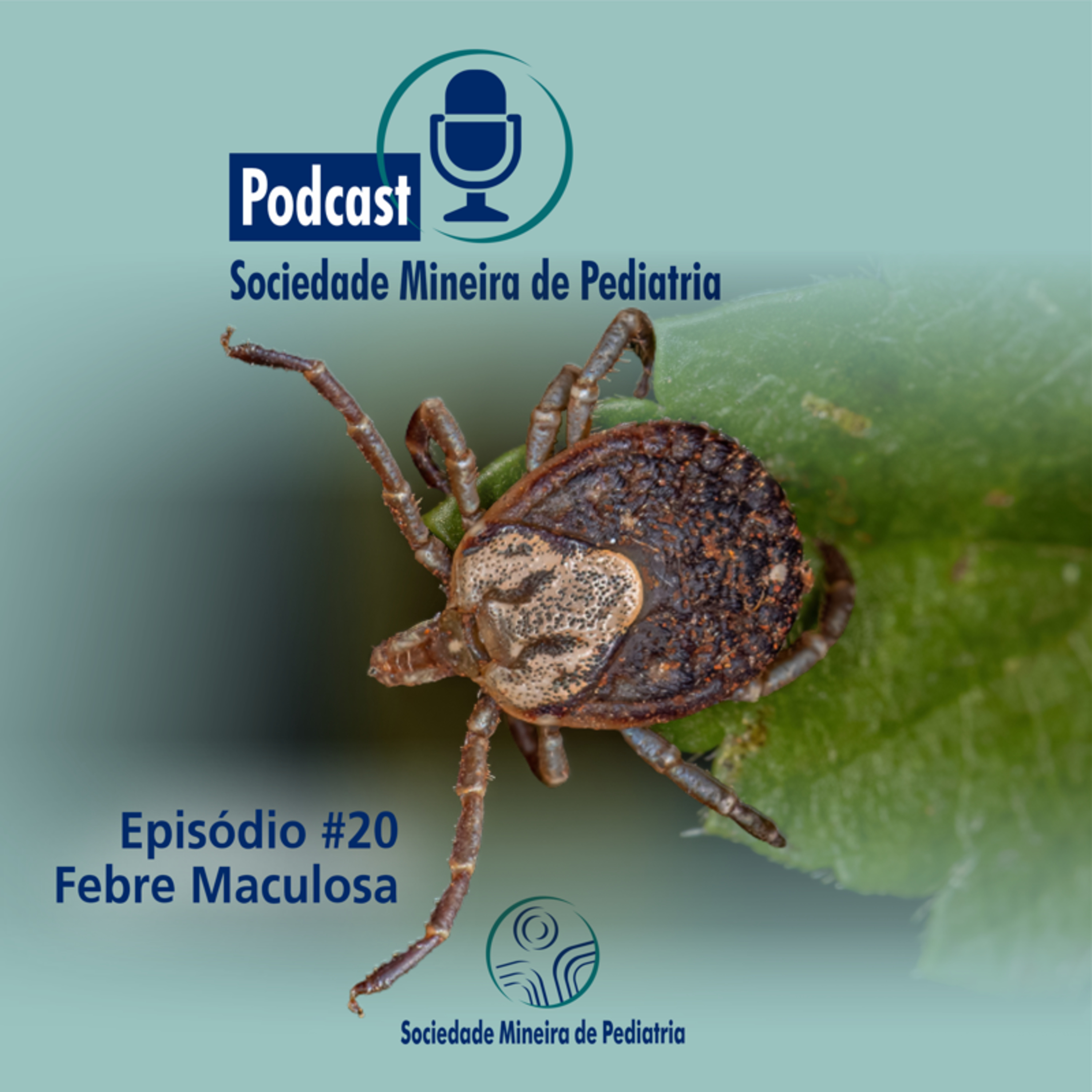 Febre Maculosa episode artwork