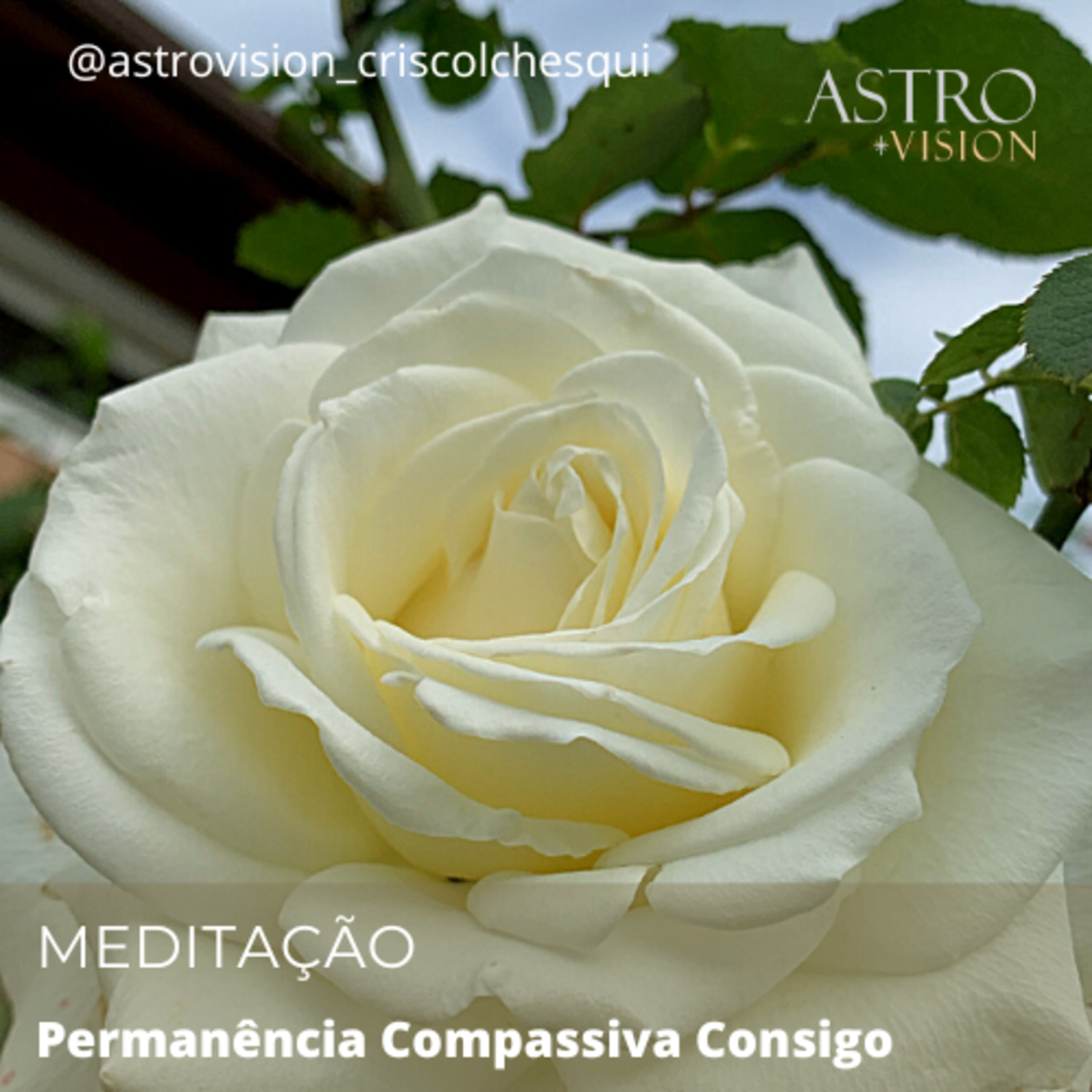 Meditação - Permanência Compassiva Consigo
