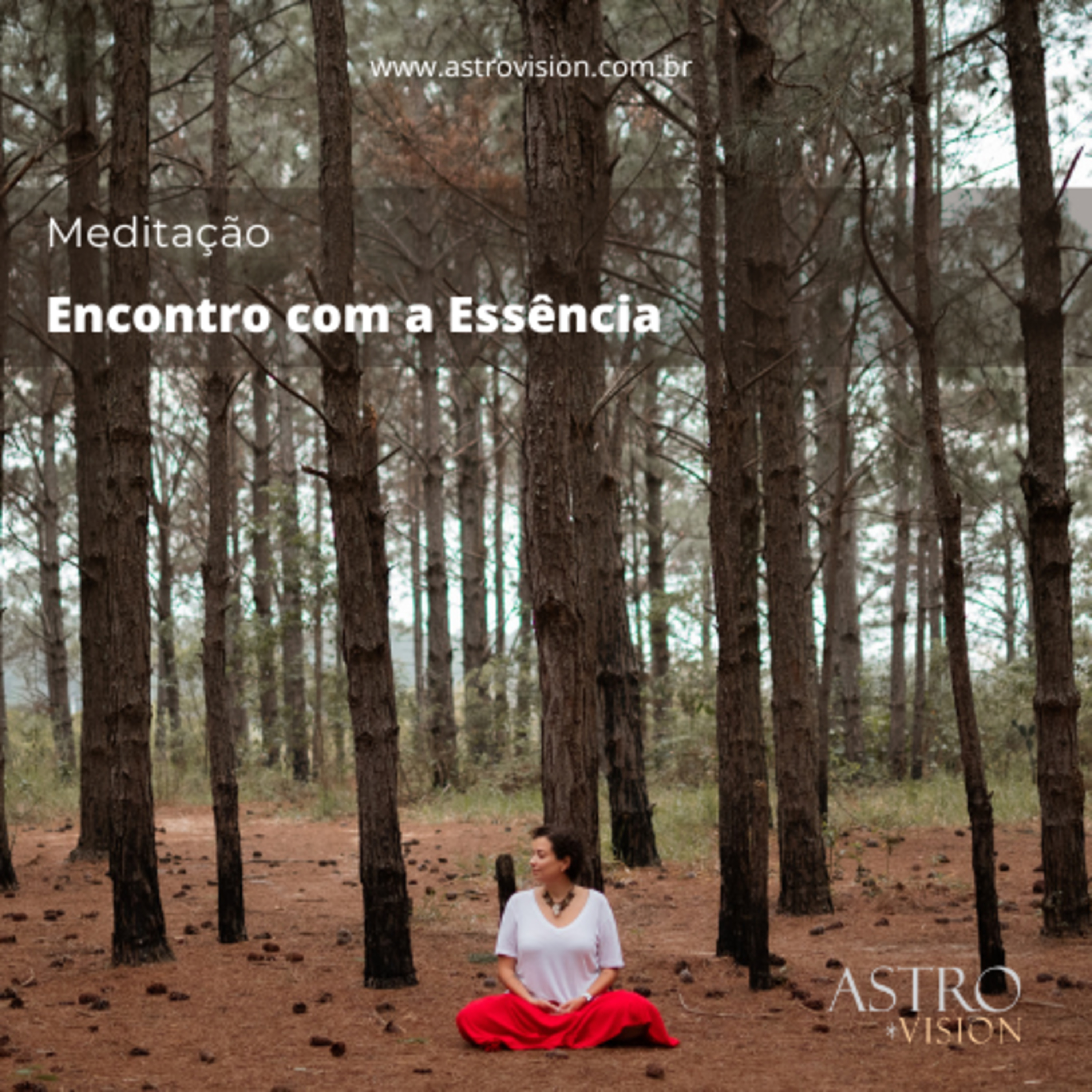 Meditação - Encontro com a Essência